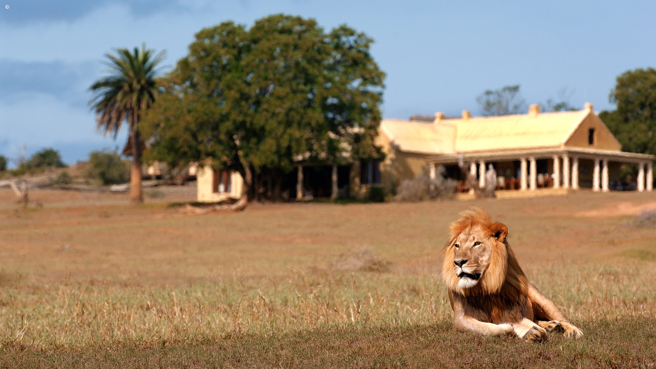 Gorah Elephant Camp