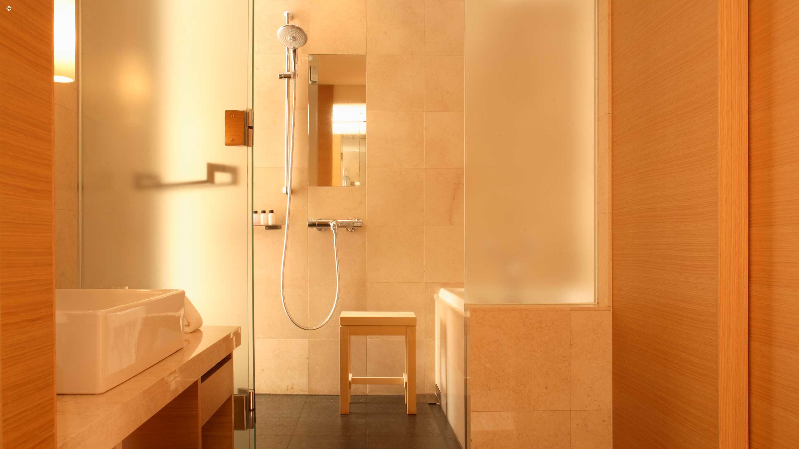The Hyatt Regency Kyoto