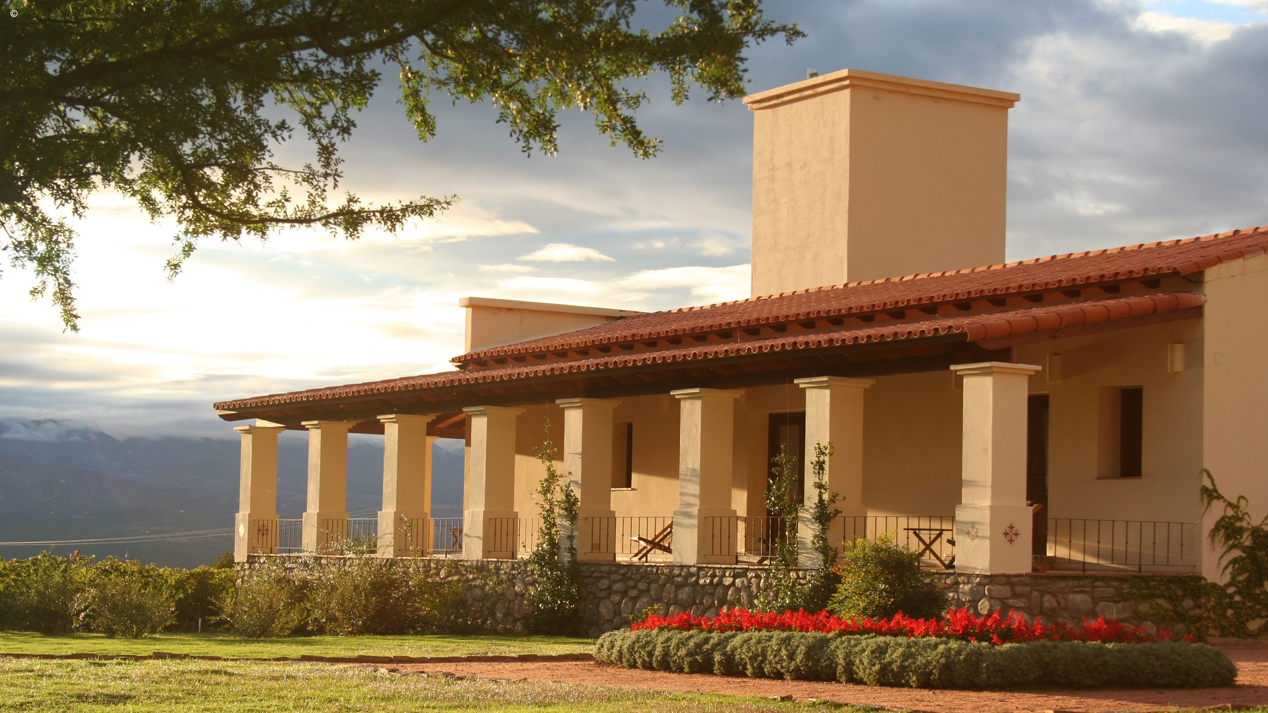 Vinas de Cafayate