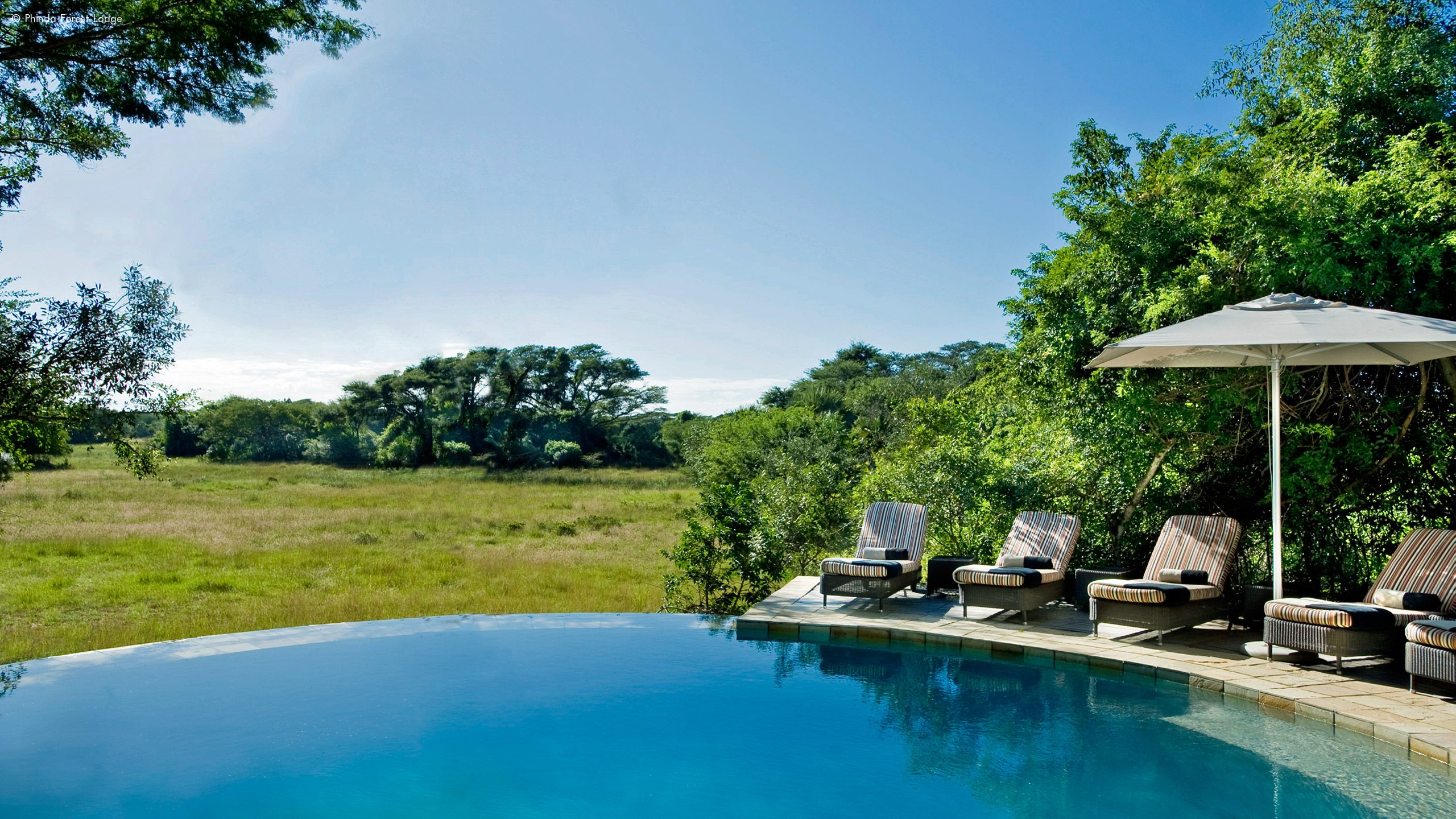 Phinda Forest Lodge