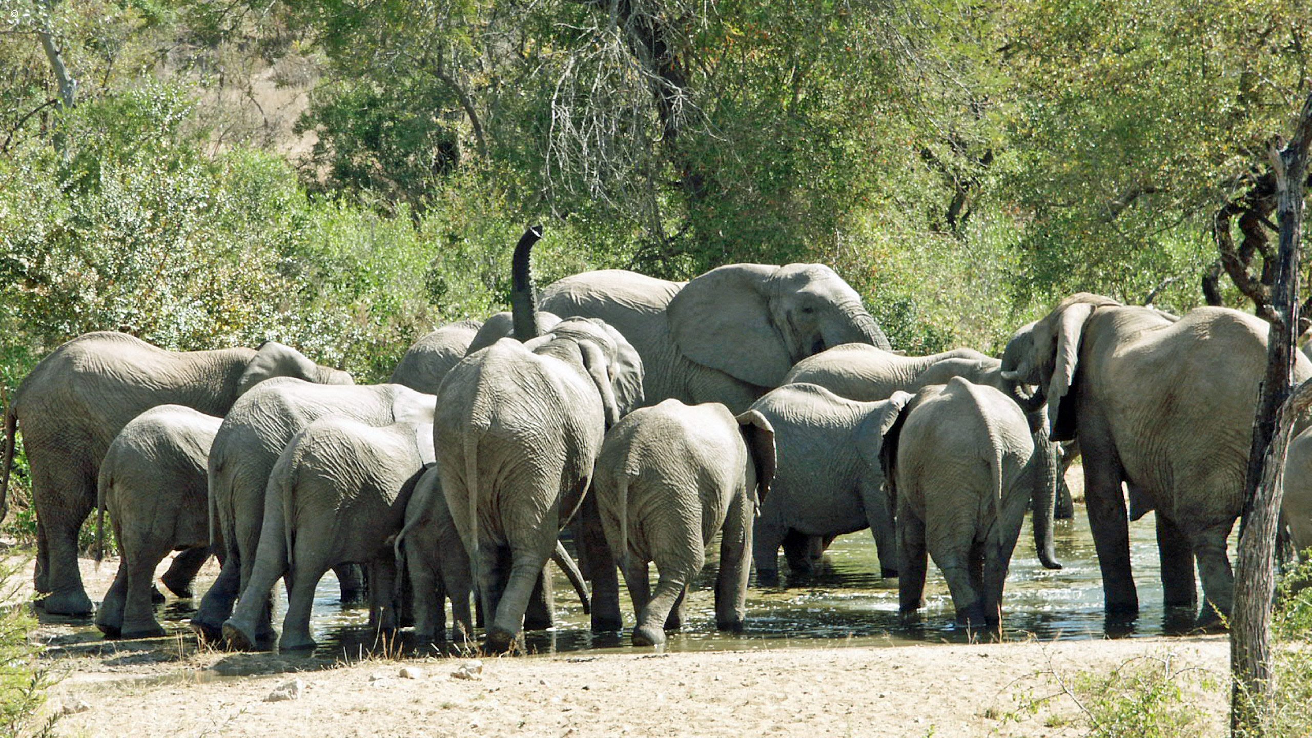 Shumbalala Game Lodge