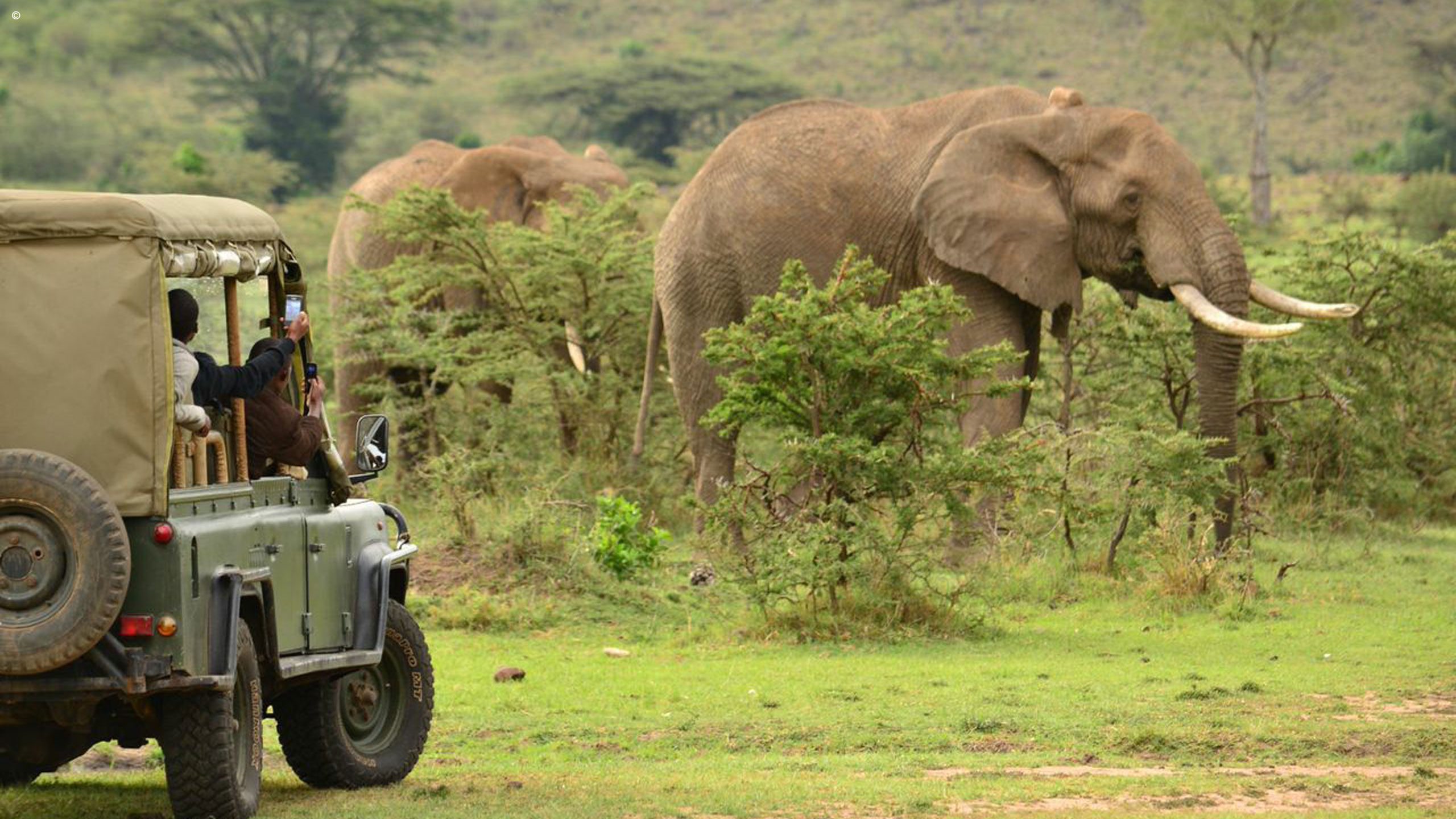 Hemingways River Camp, Mara