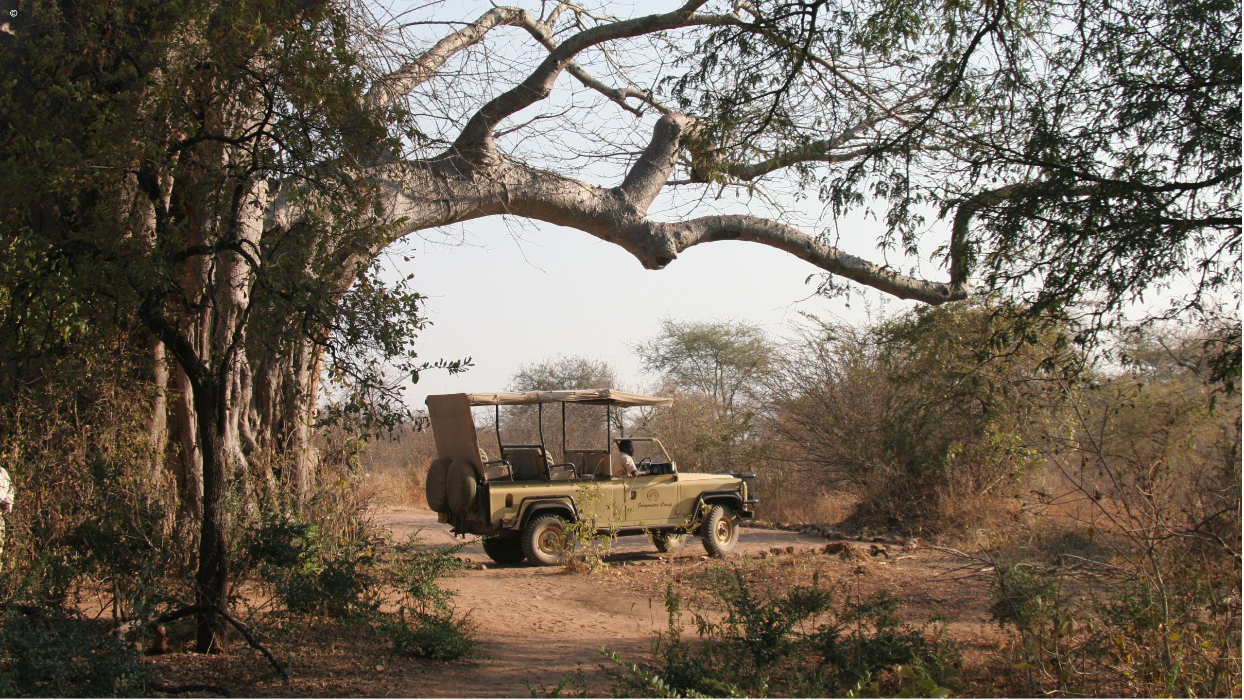 Jongomero Camp