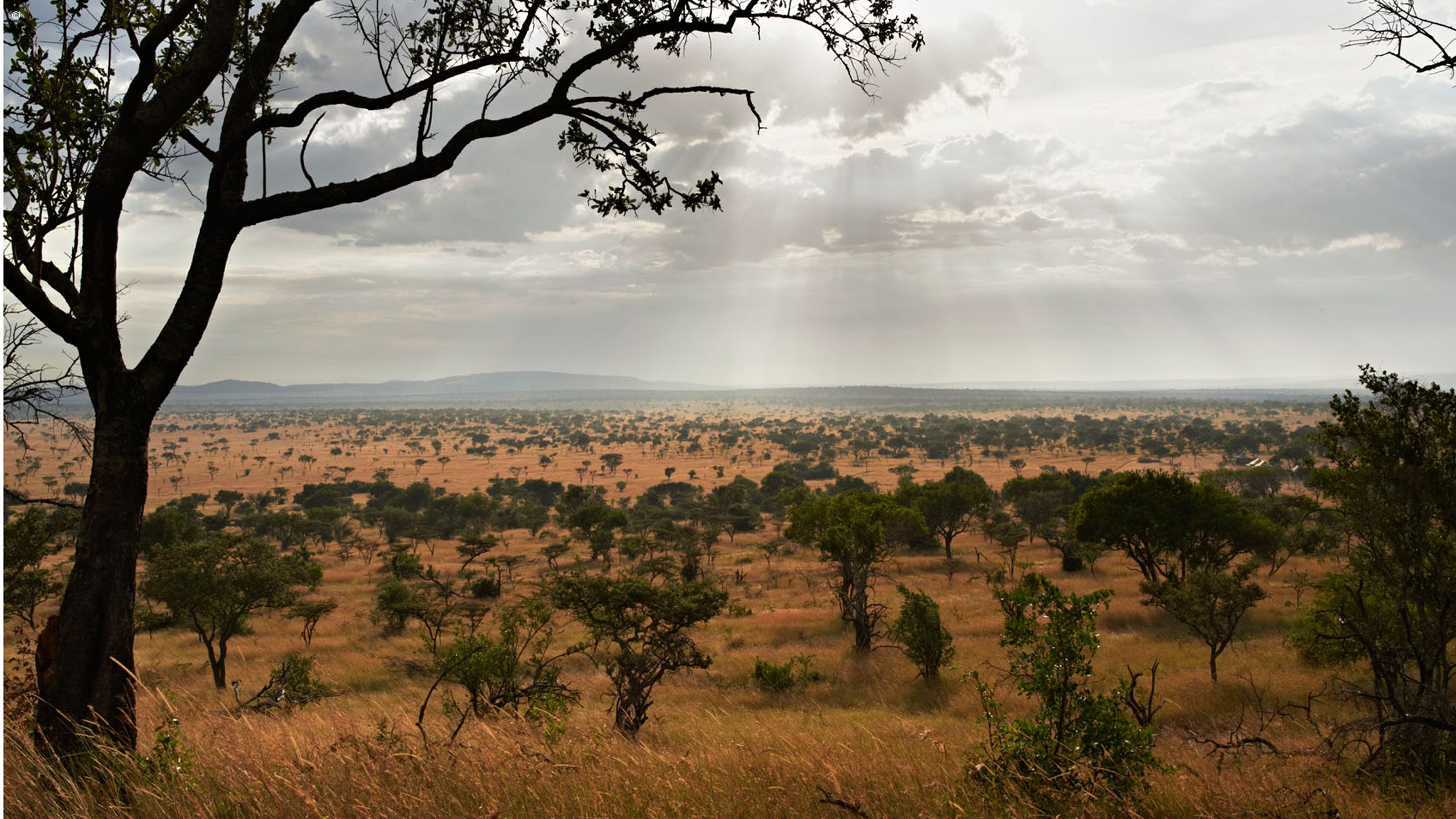 Singita Explore Tented Camp