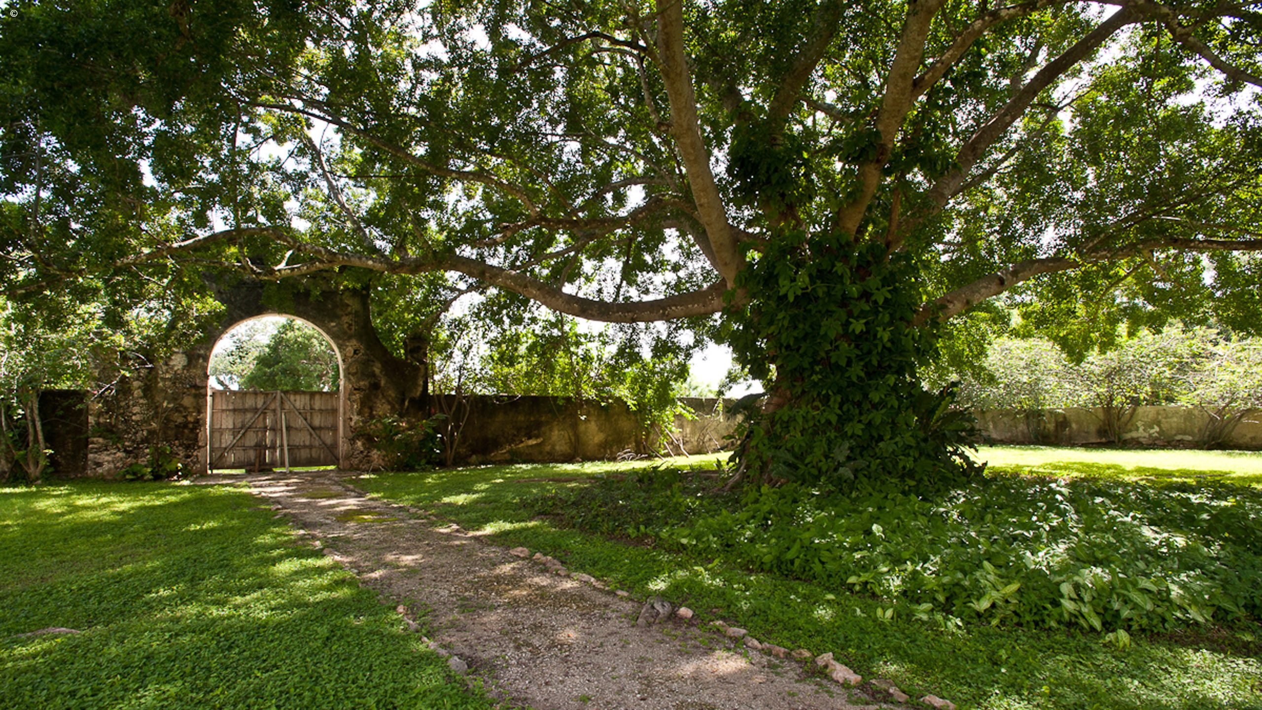 Hacienda Itzincab Cámara