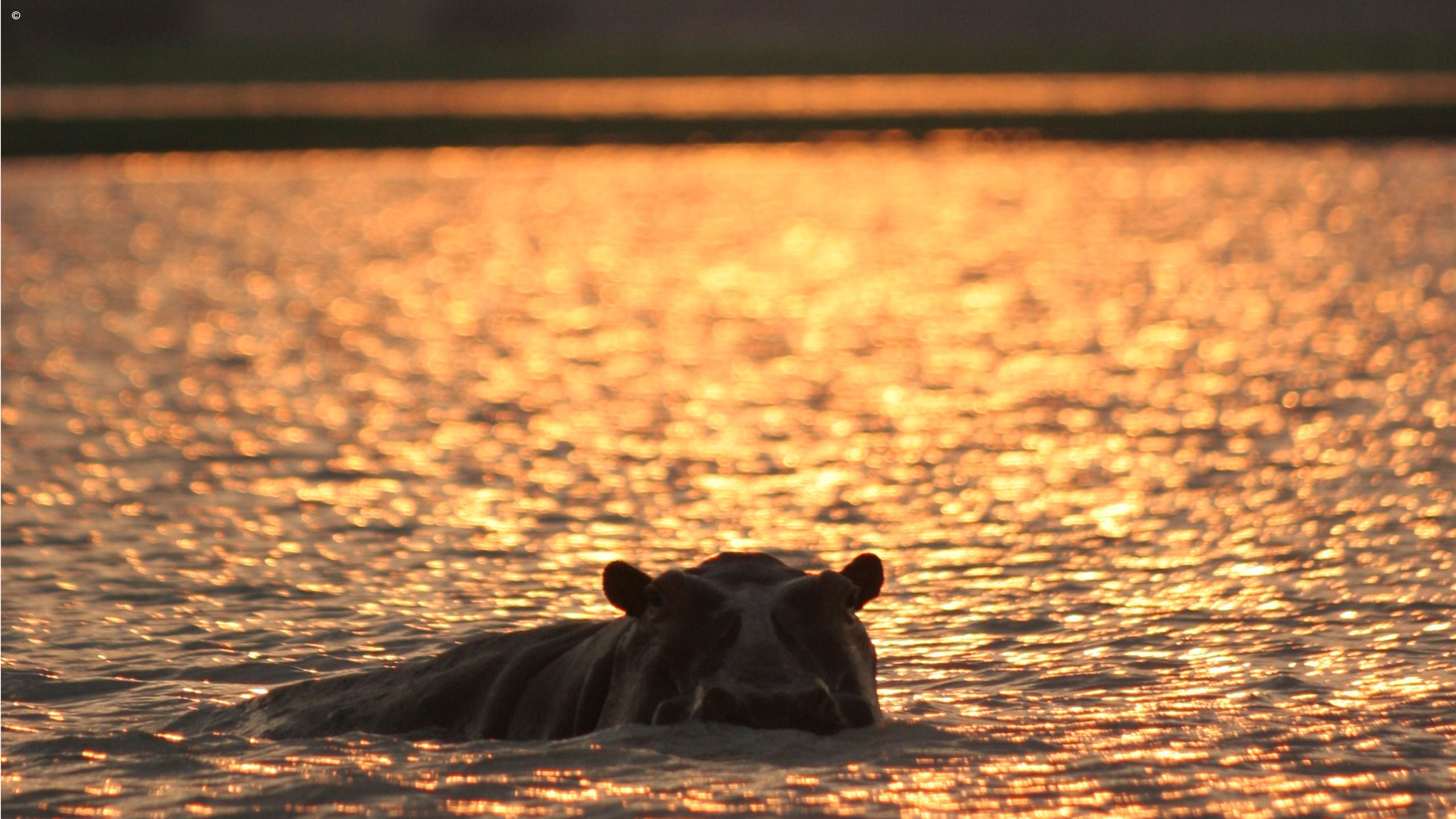 Siwandu Camp