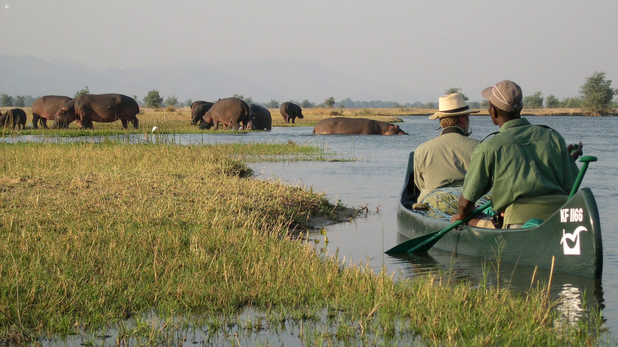 Mana Shoreline Canoe Safari