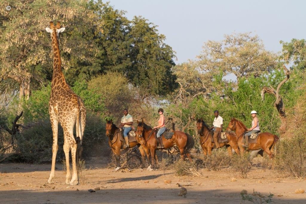 Mashatu Lodge