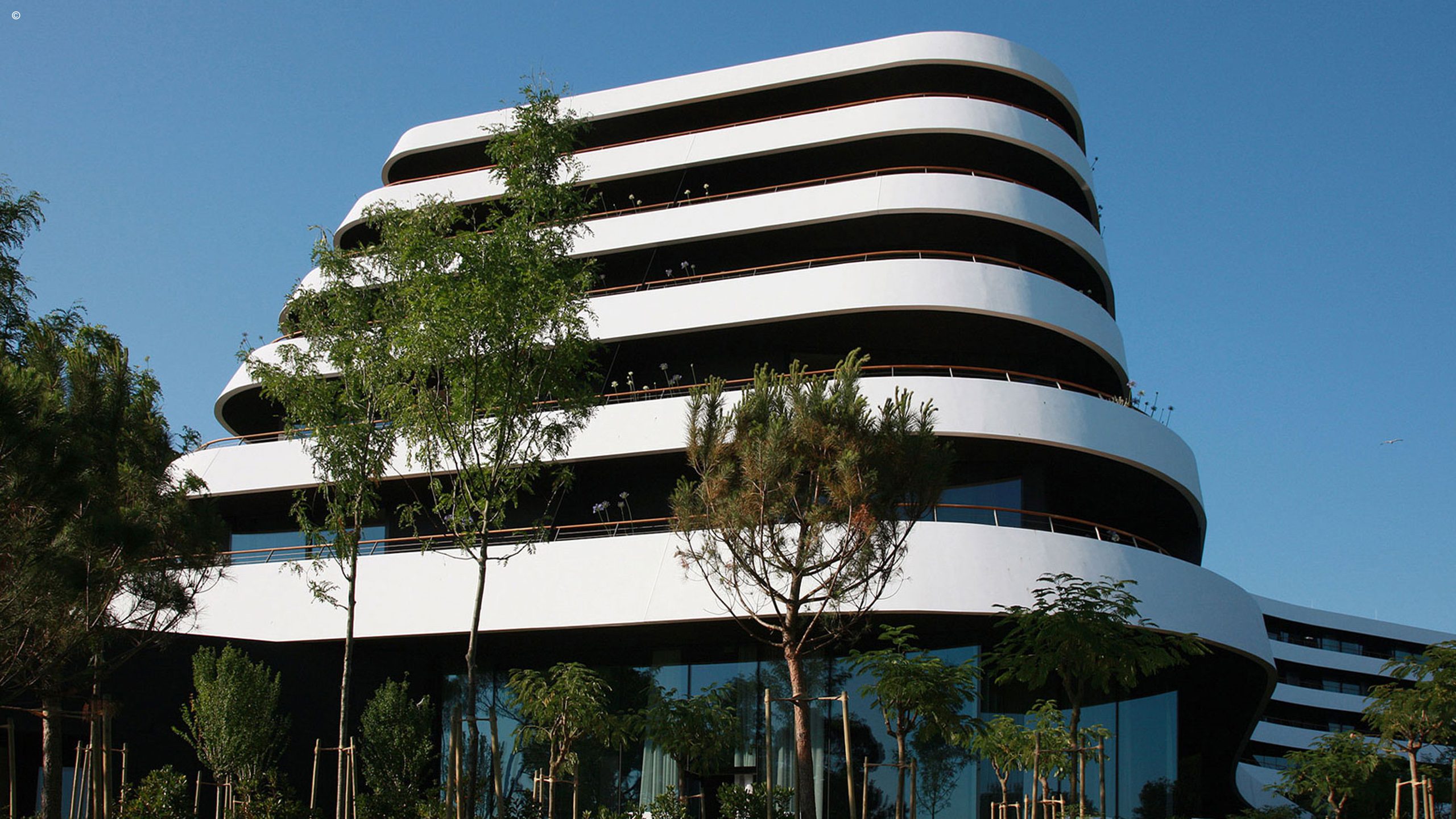 Hotel Lone