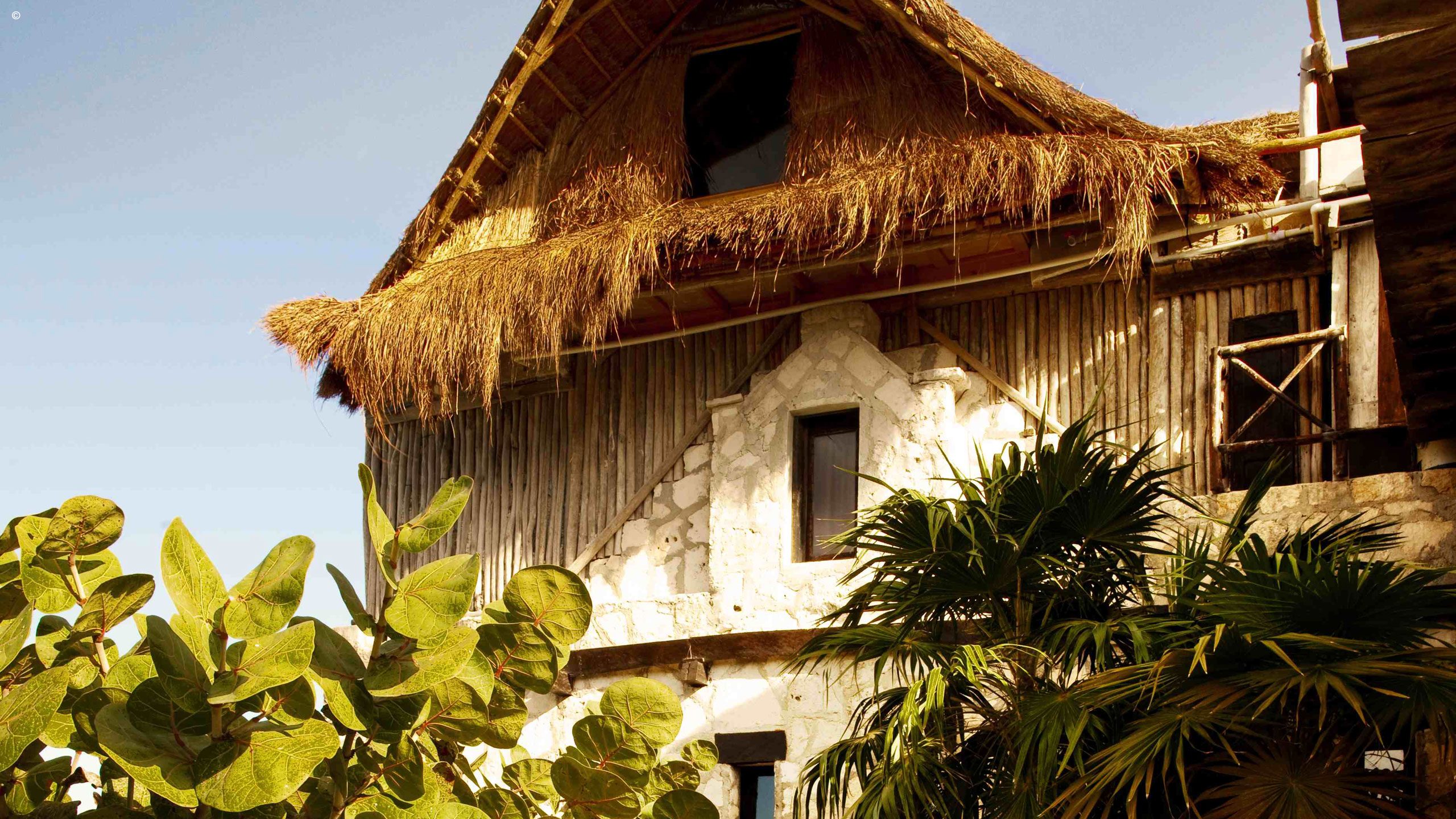 Coqui Coqui Tulum