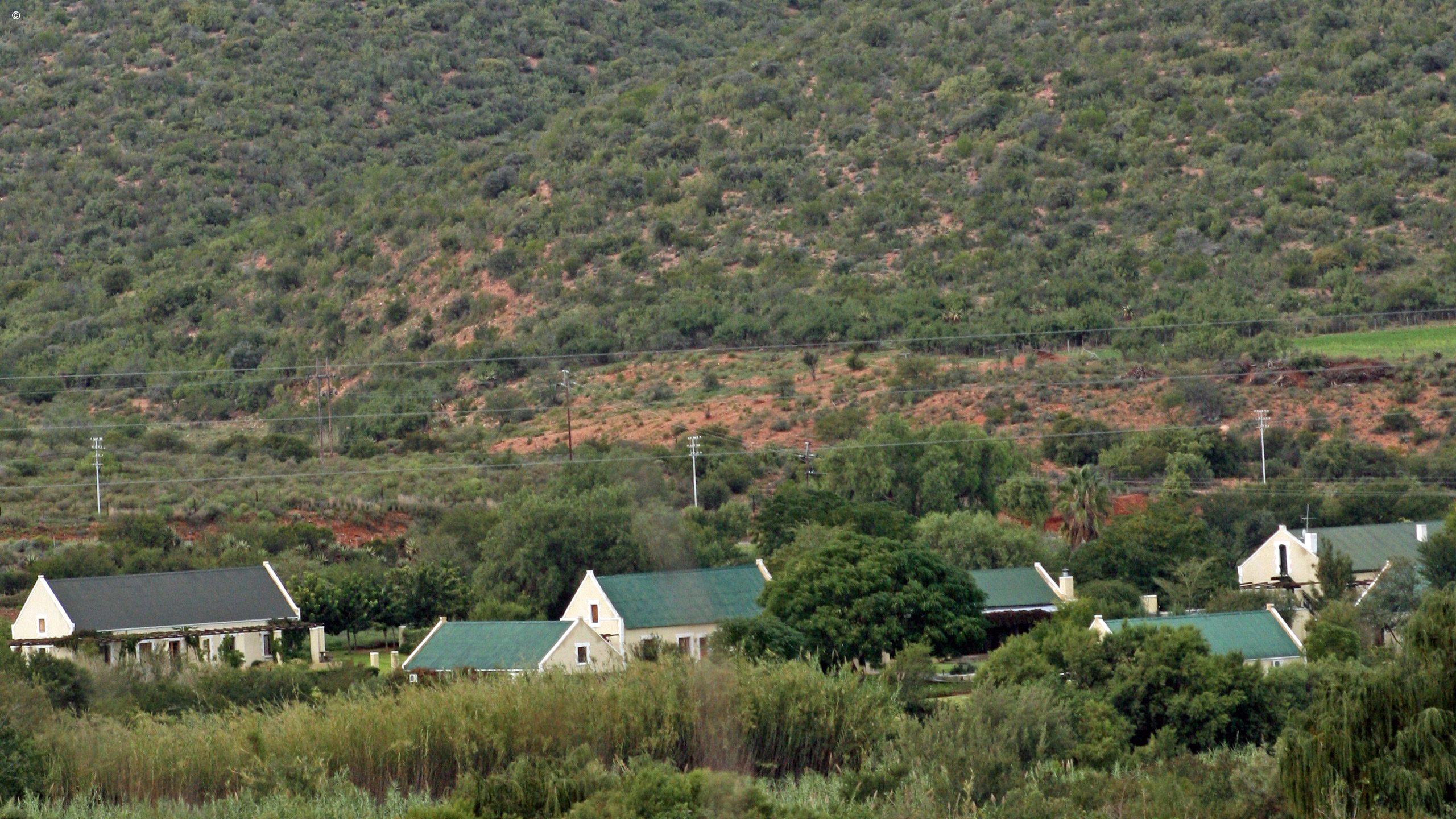 Thorntree Country House