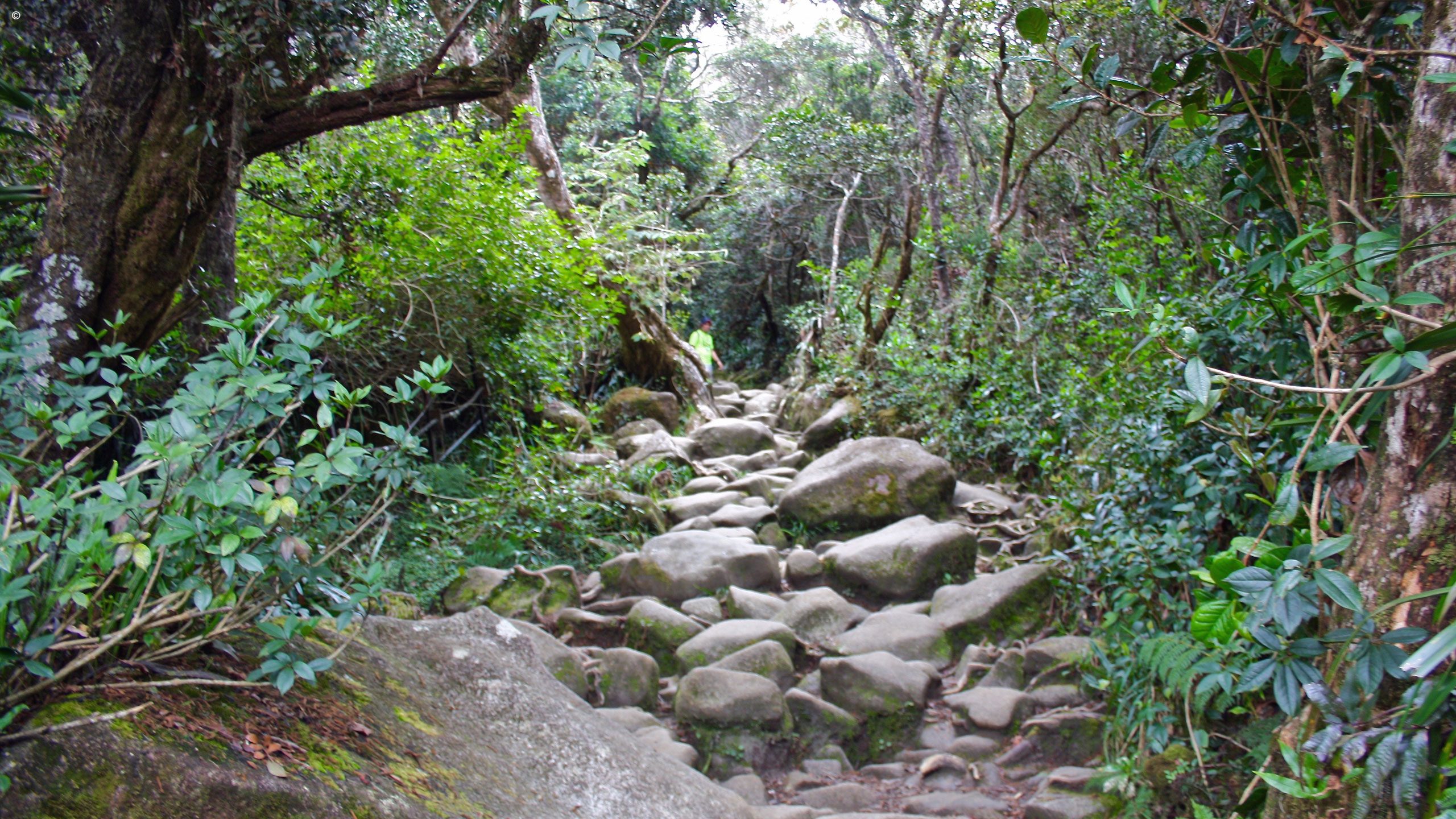 Mount Kinabalu Climb