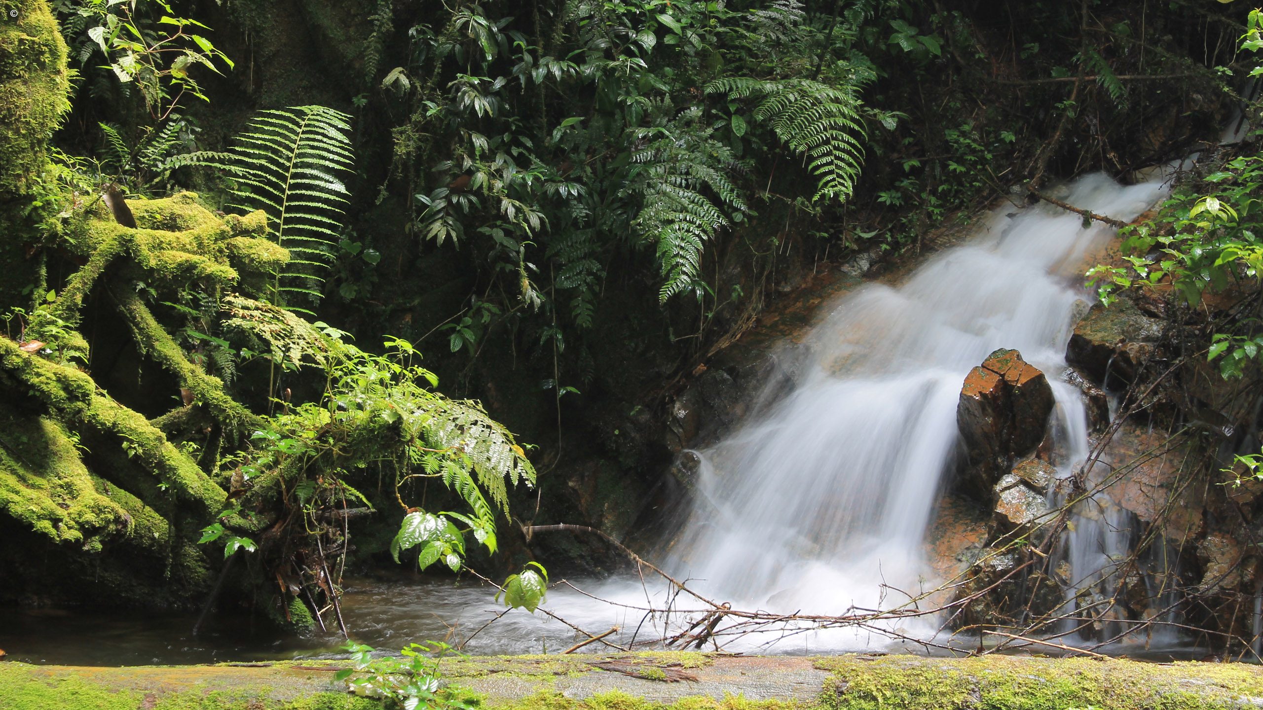 Bwindi Lodge