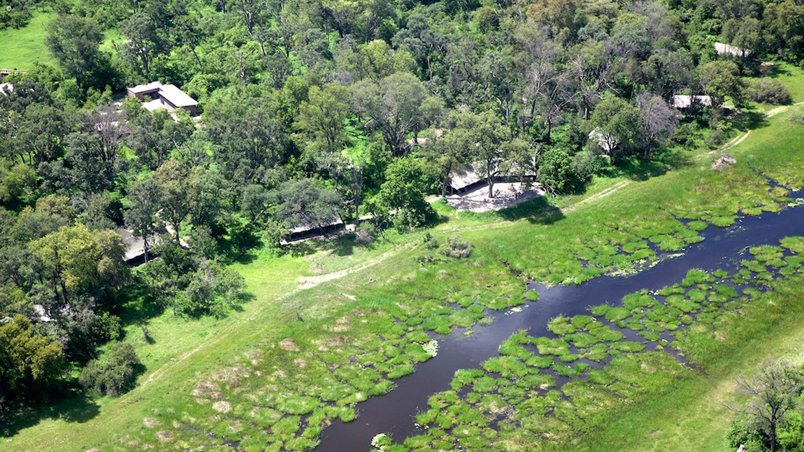 Gomoti Plains Camp
