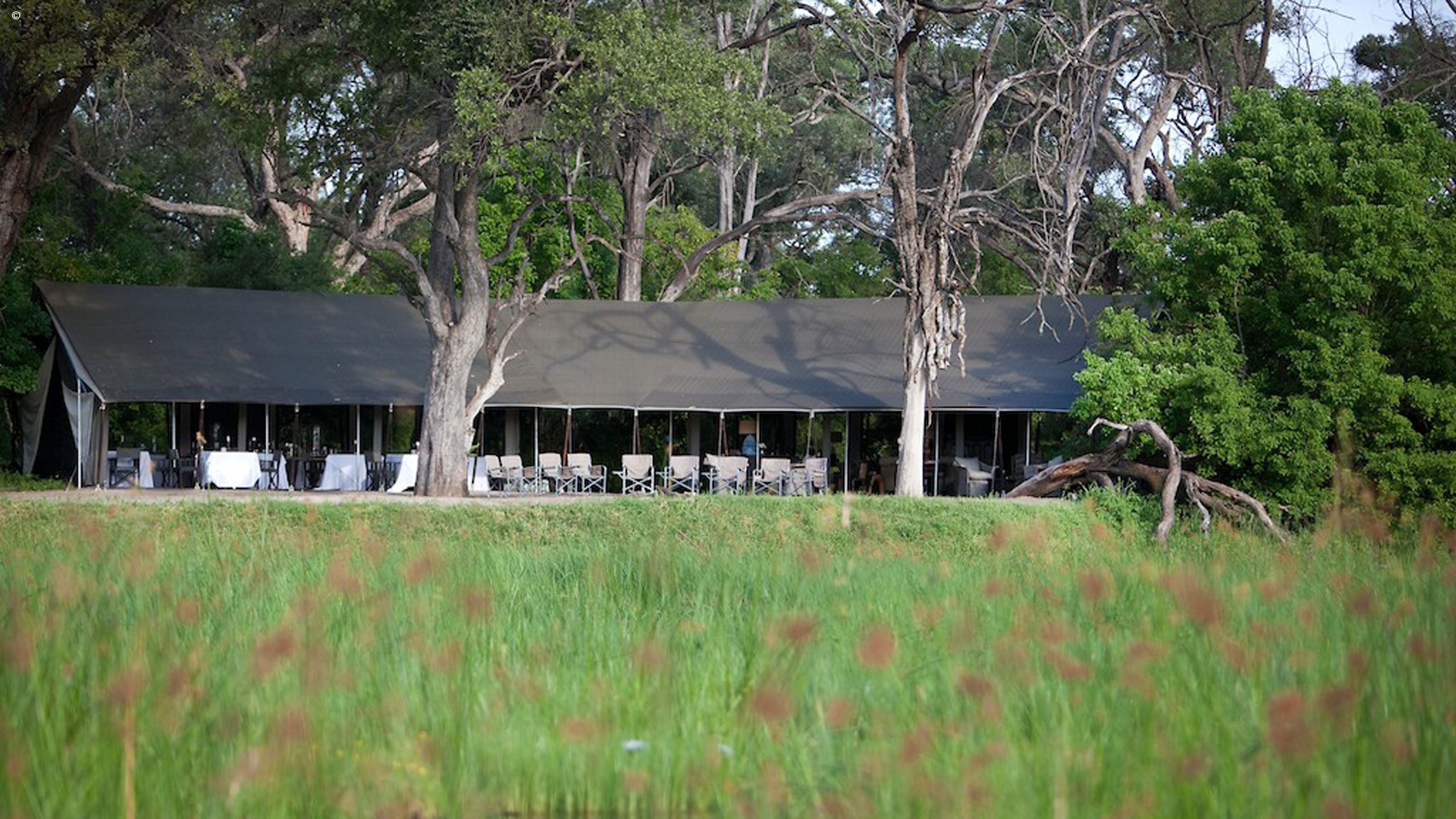 Gomoti Plains Camp