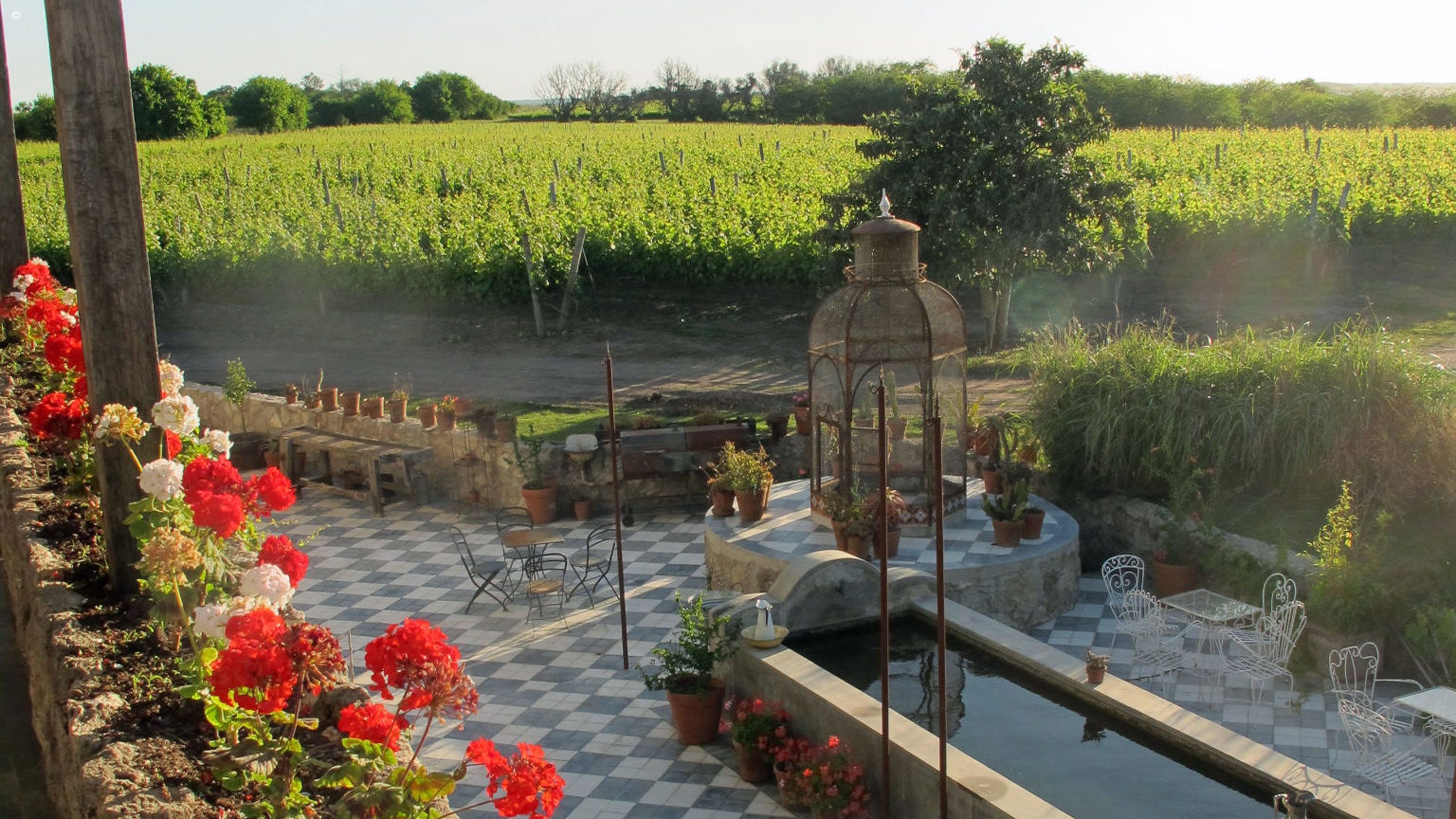 Finca Narbona