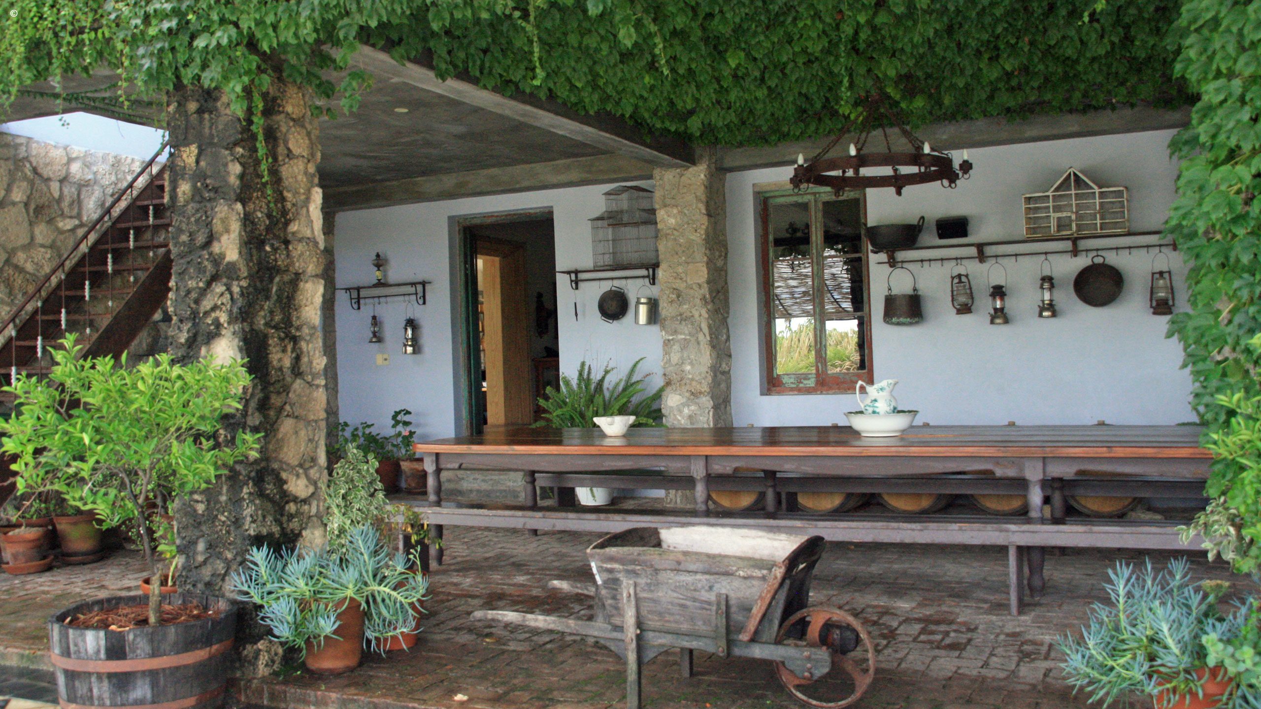 Finca Narbona