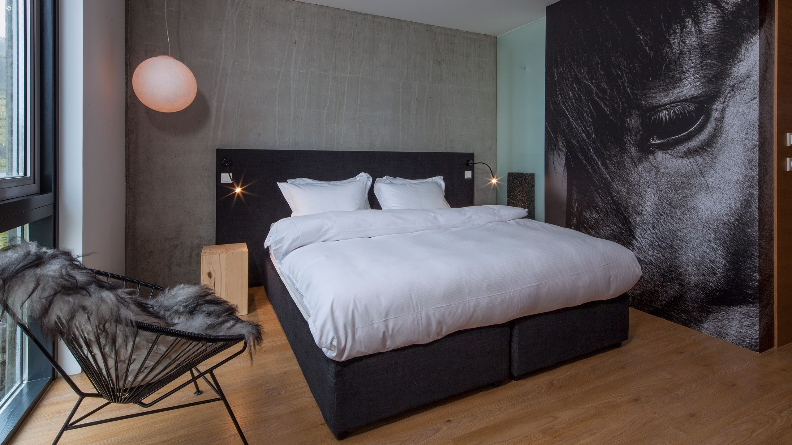 Ion Hotel