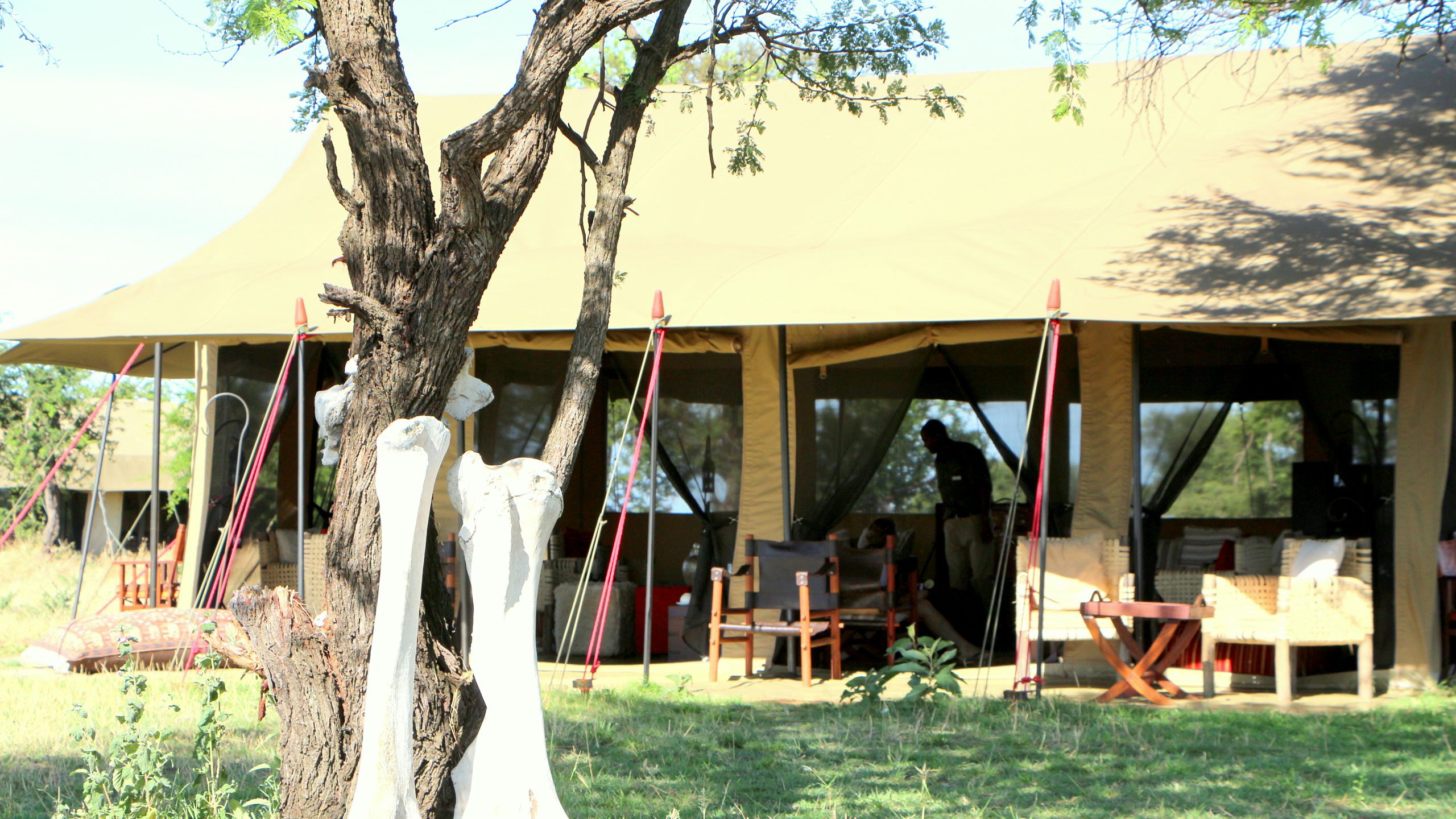 Kimondo Camp