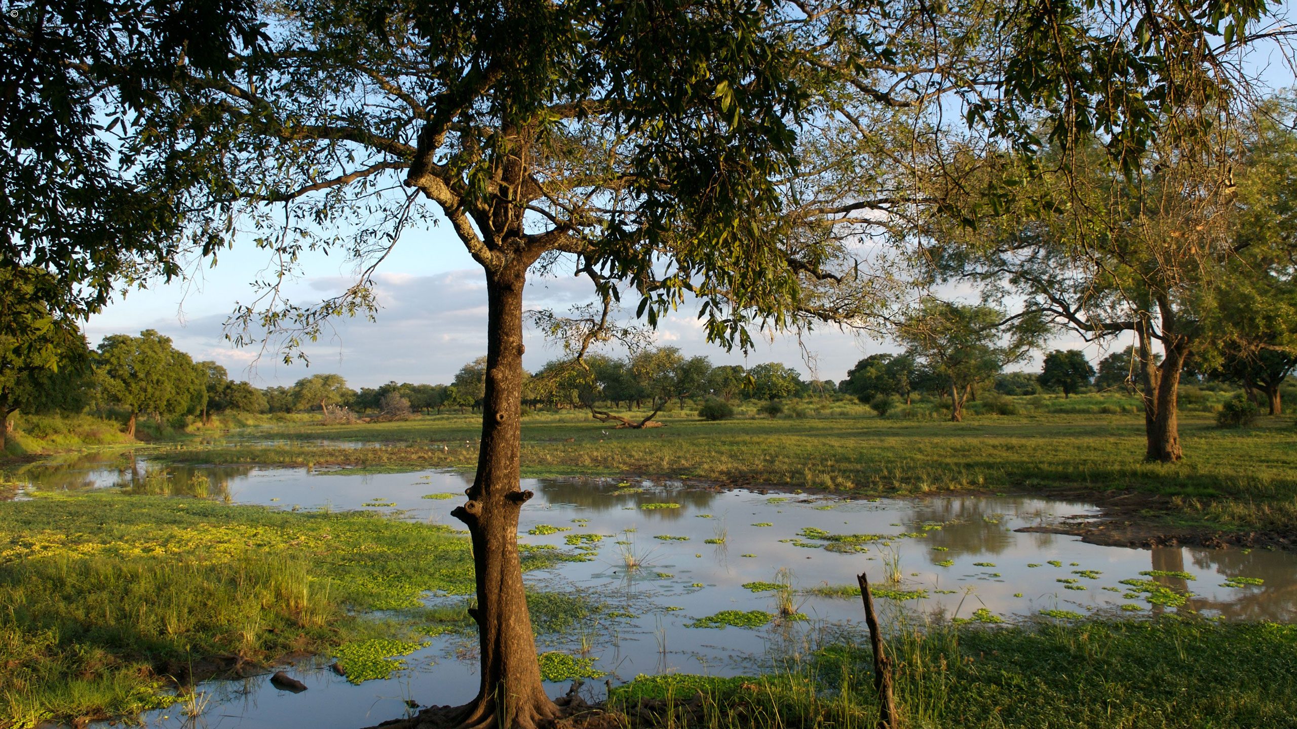 Luangwa Safari House