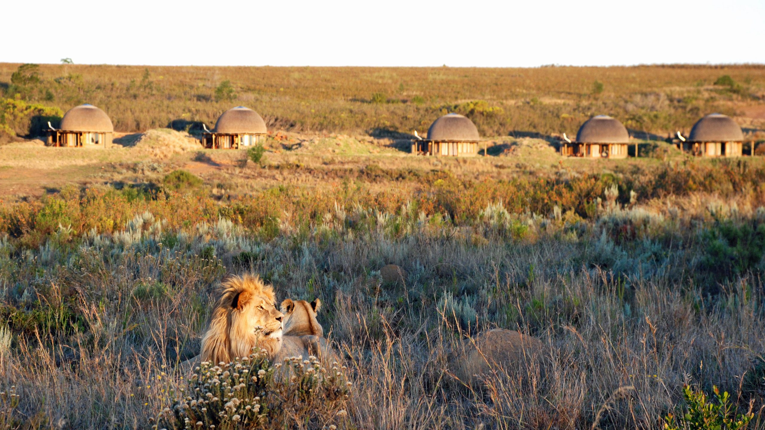 Gondwana Private Game Reserve