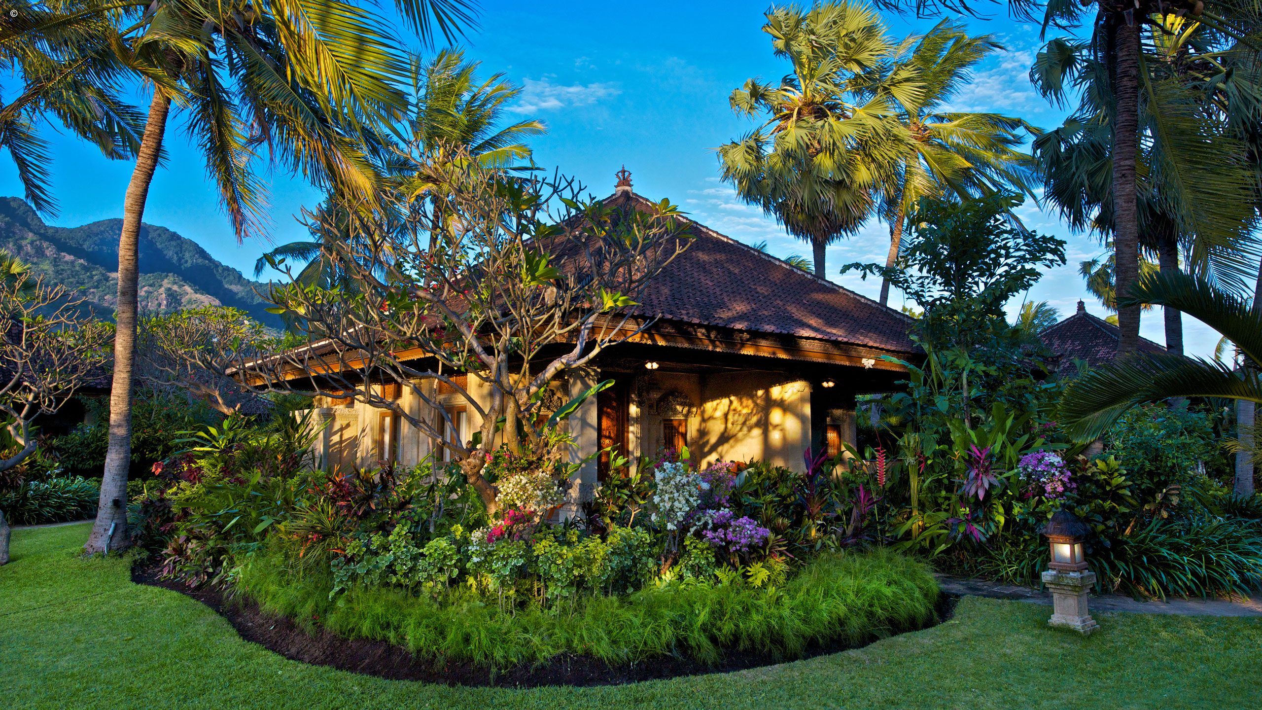 Matahari