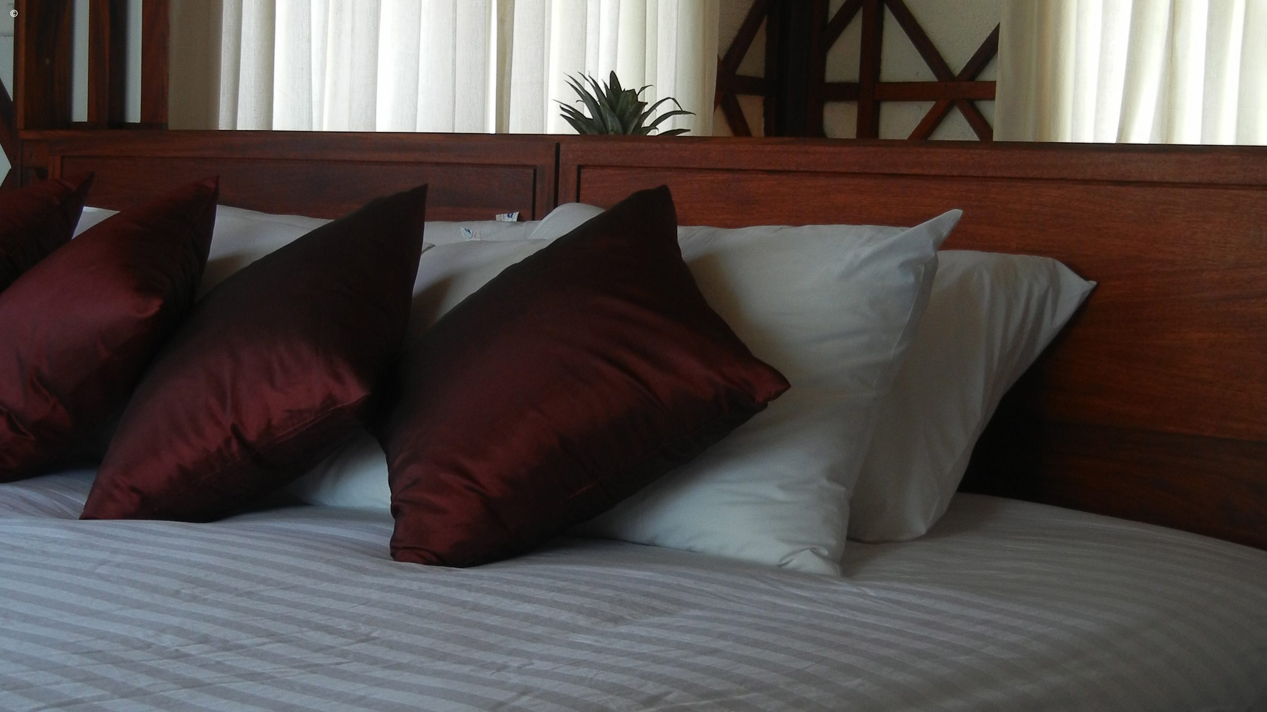 View Point Eco Lodge