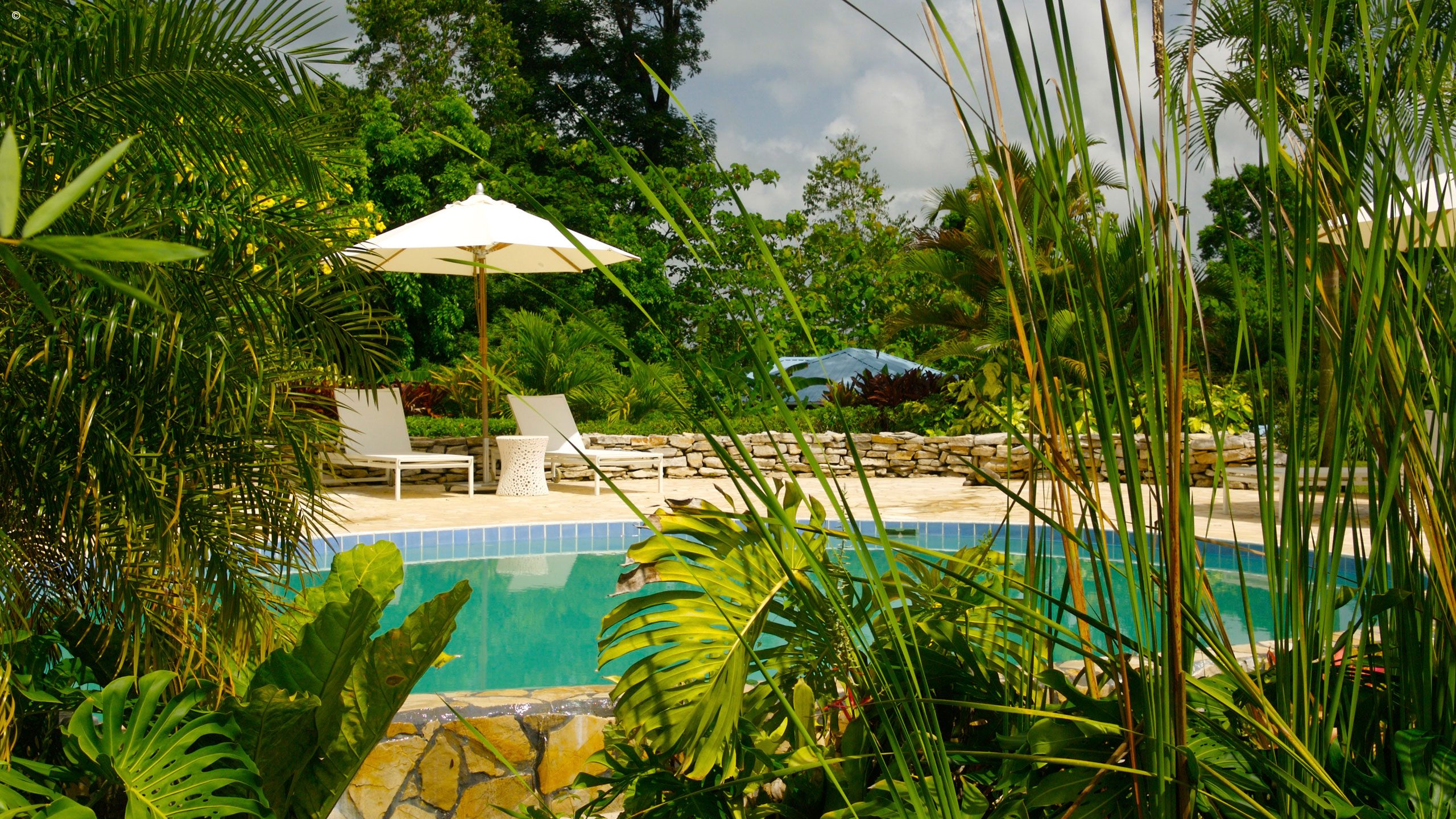Copal Tree Lodge