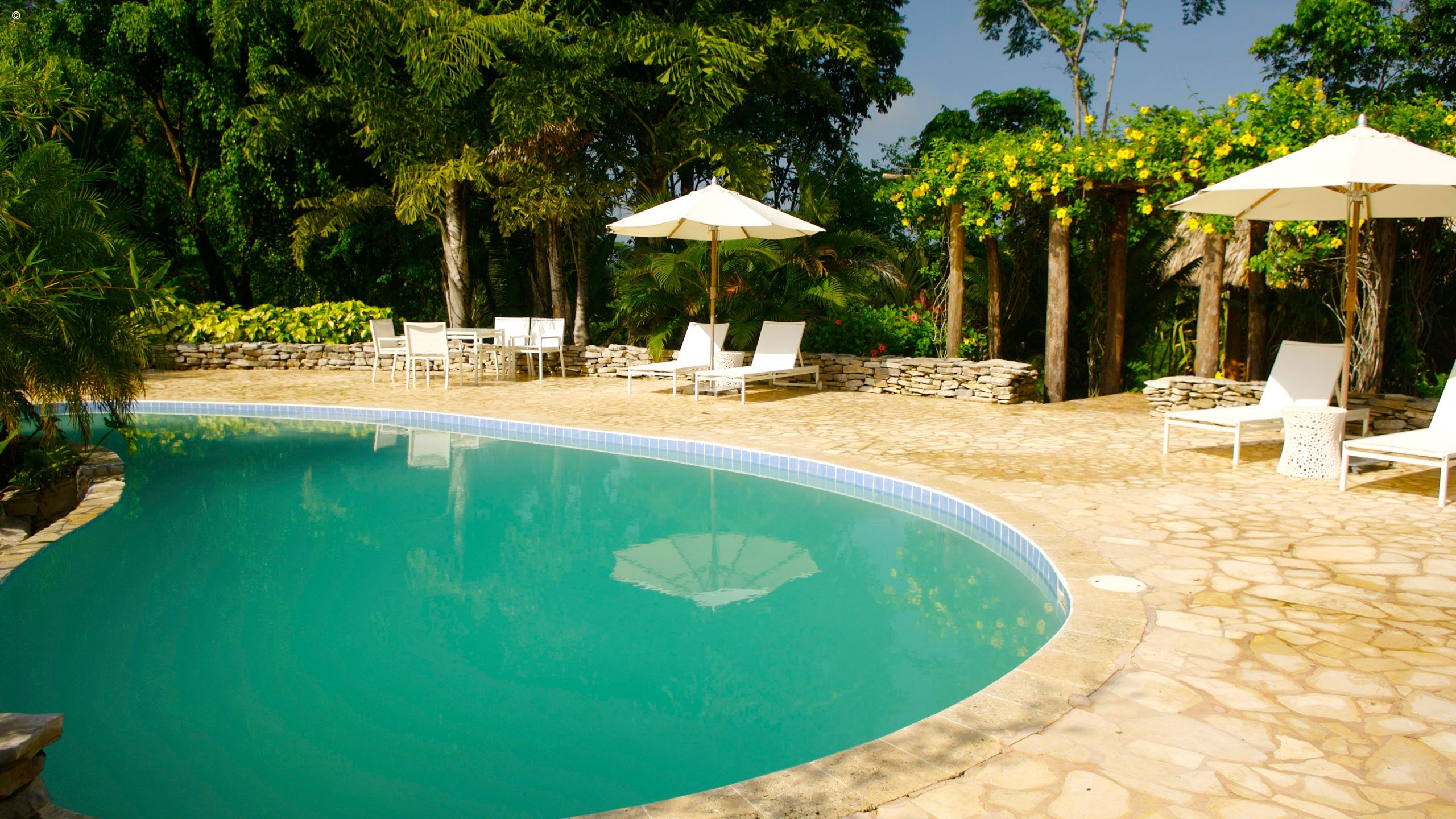 Copal Tree Lodge