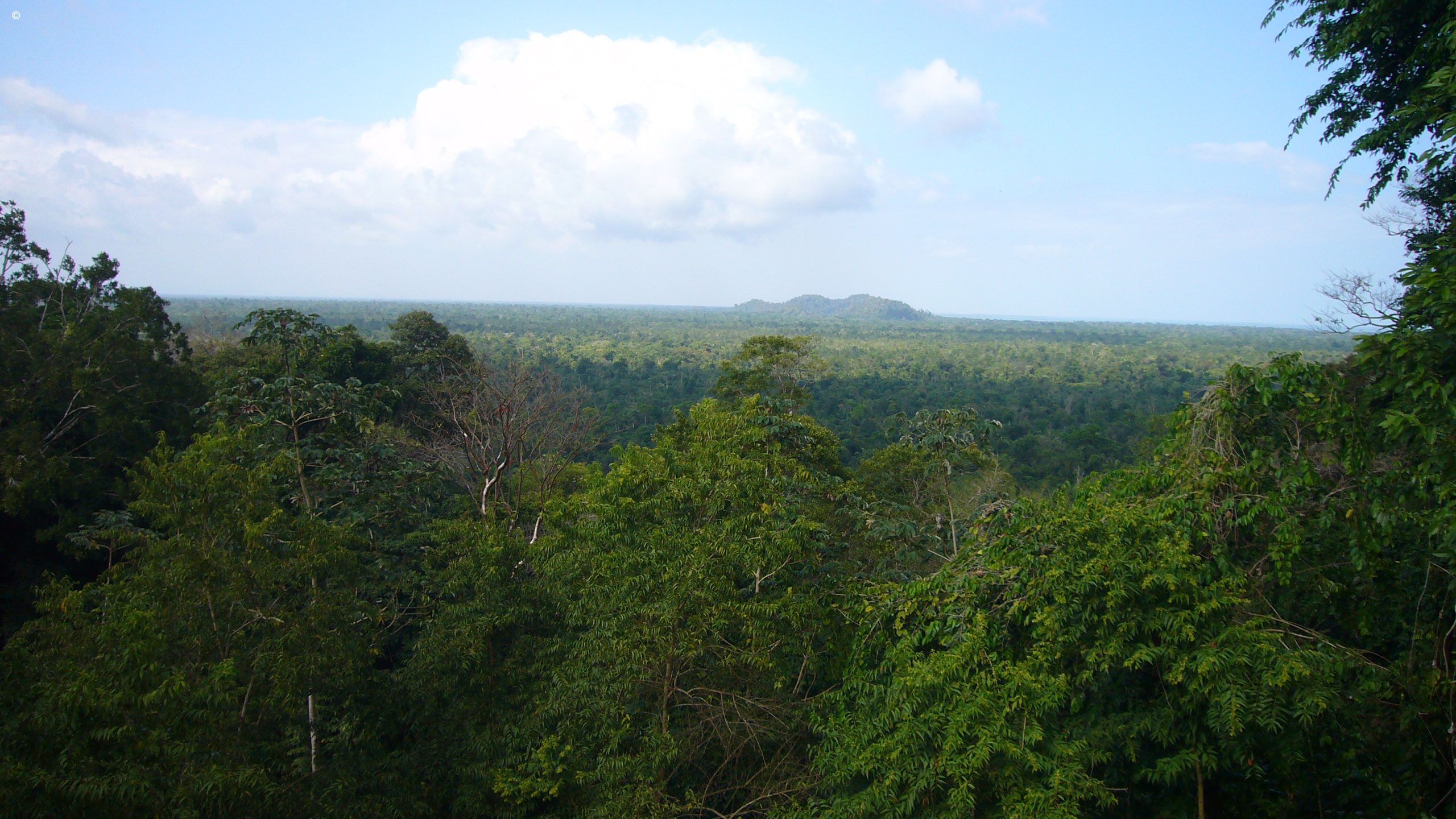 Copal Tree Lodge