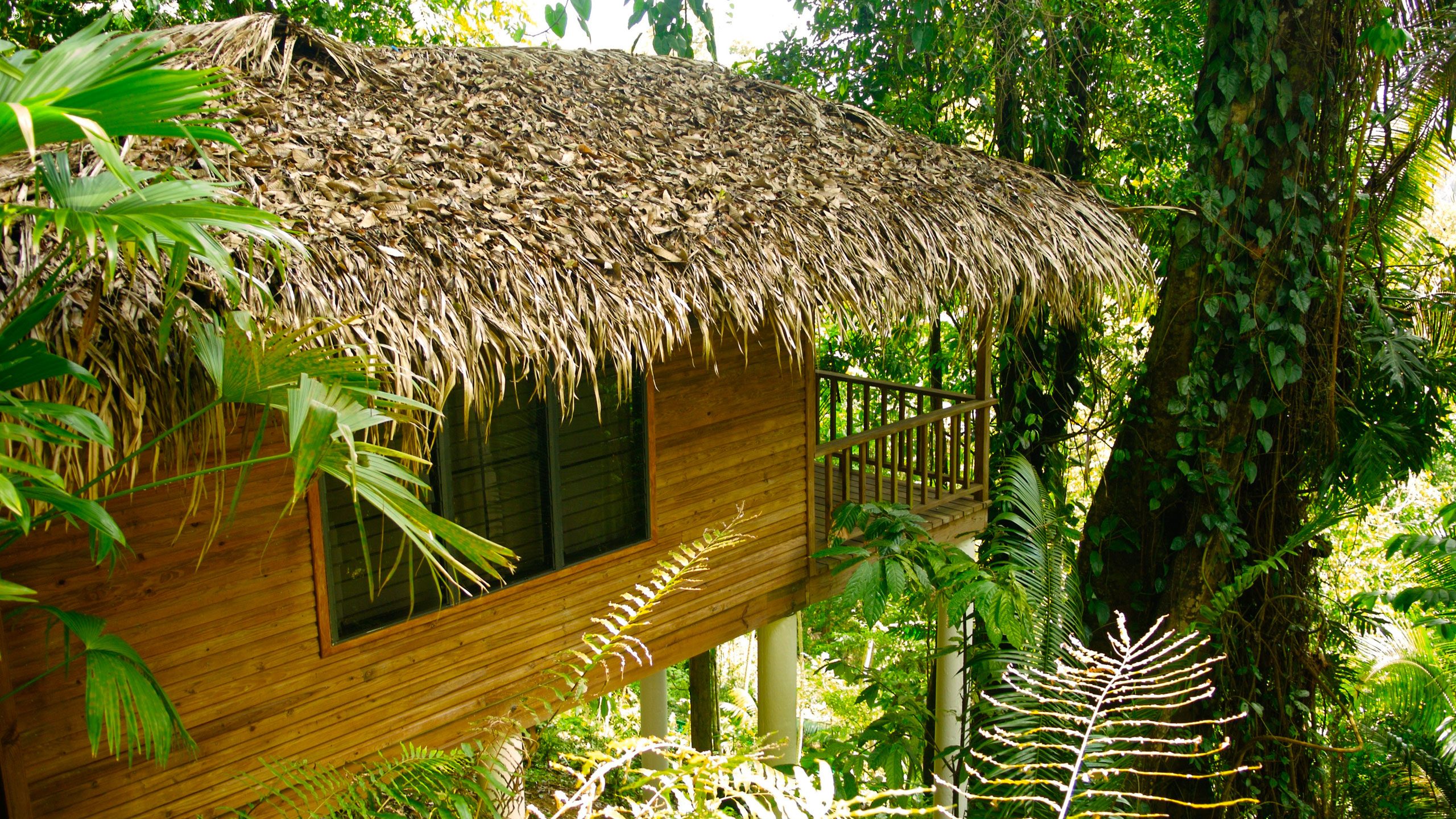 Copal Tree Lodge