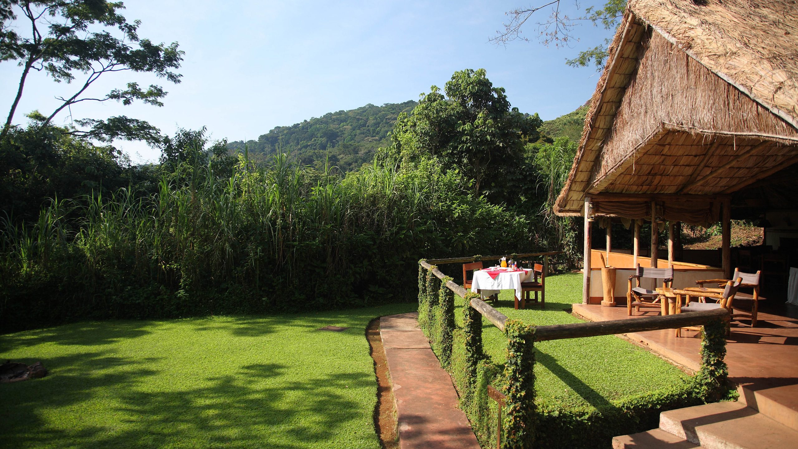 Oxygen Jungle Villas