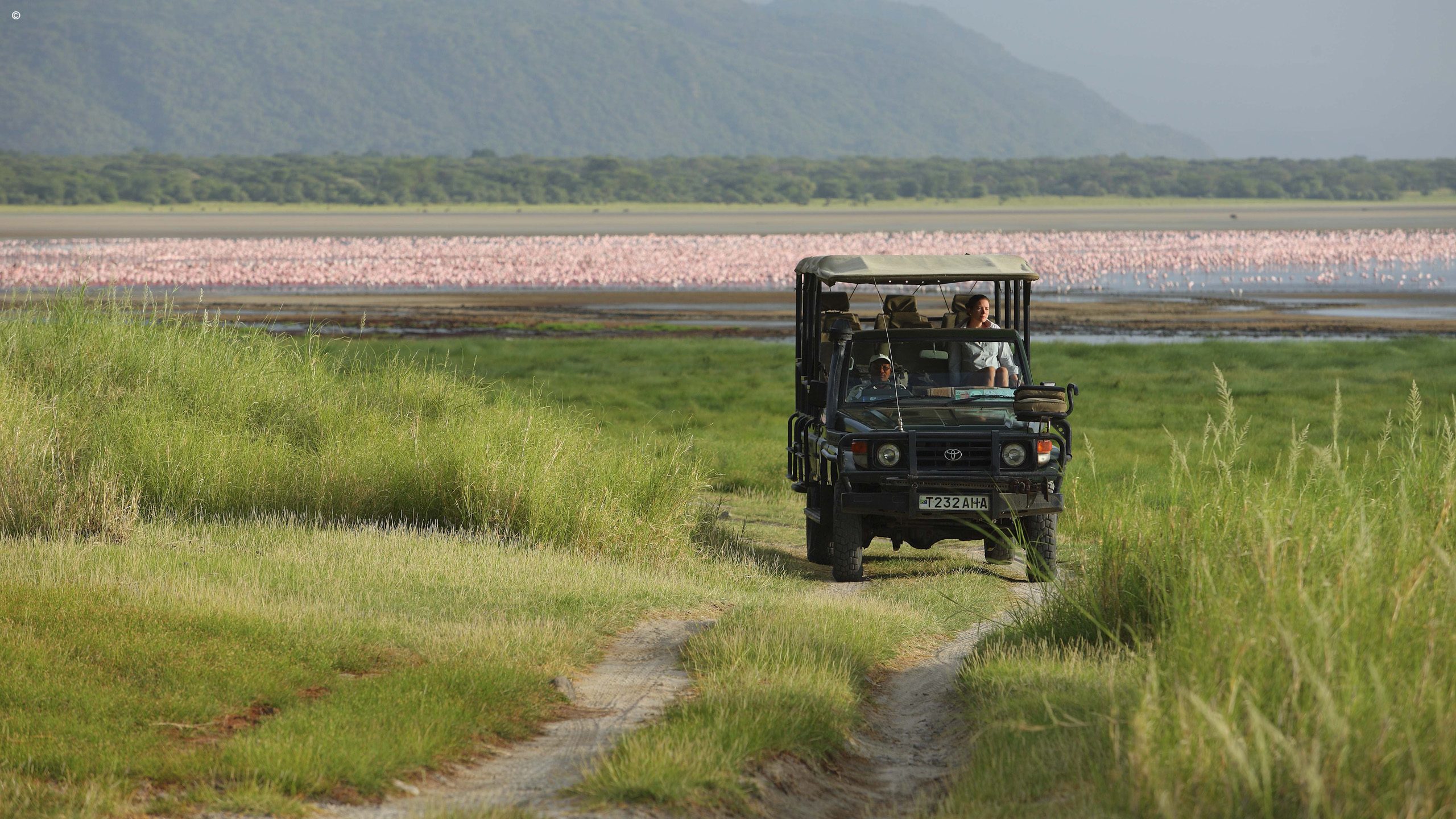 Lake Manyara Tree Lodge