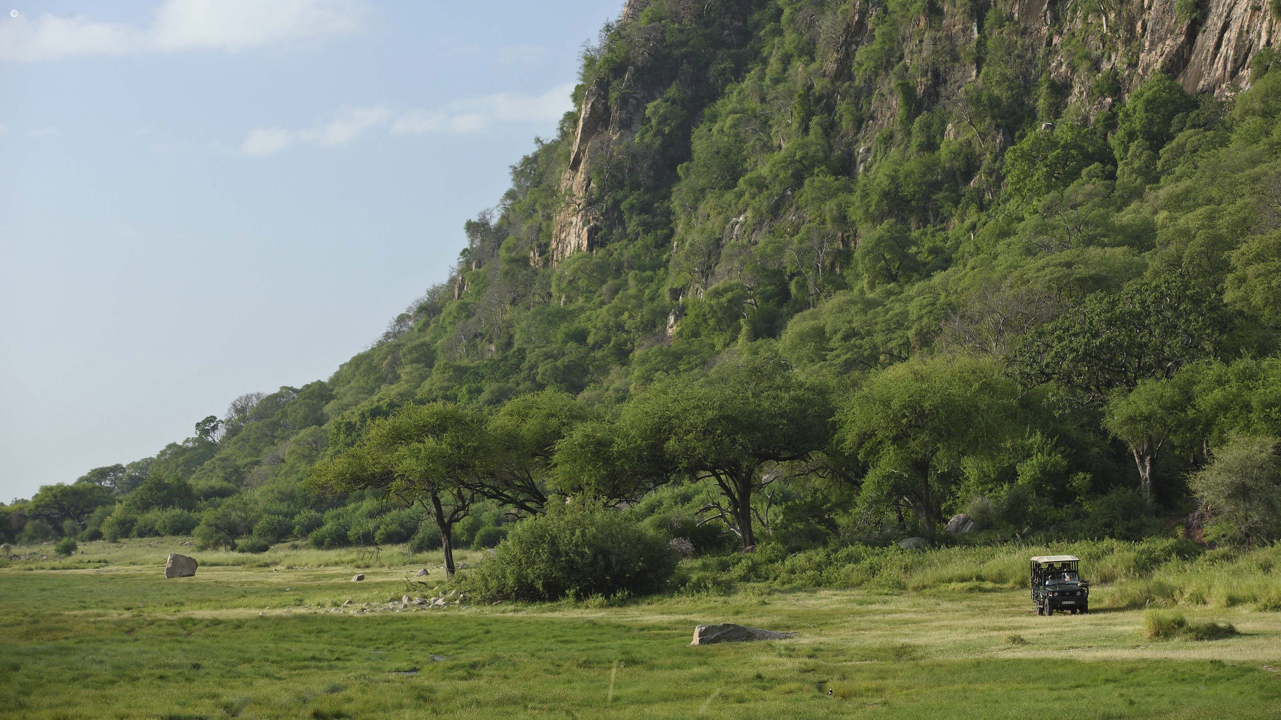 Lake Manyara Tree Lodge