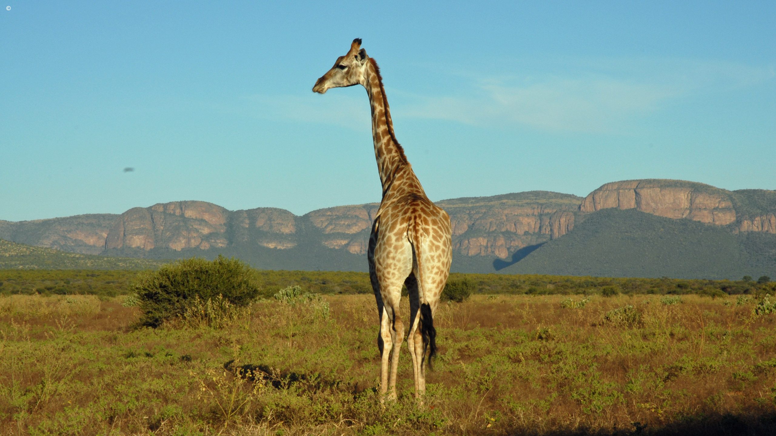 Marataba Private Reserve