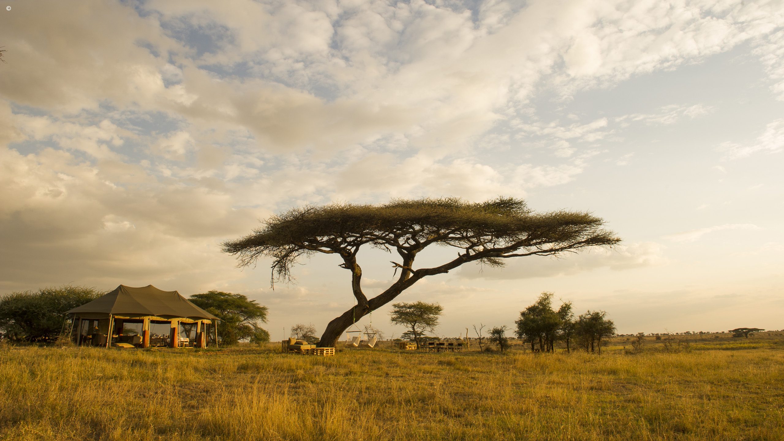 Namiri Plains