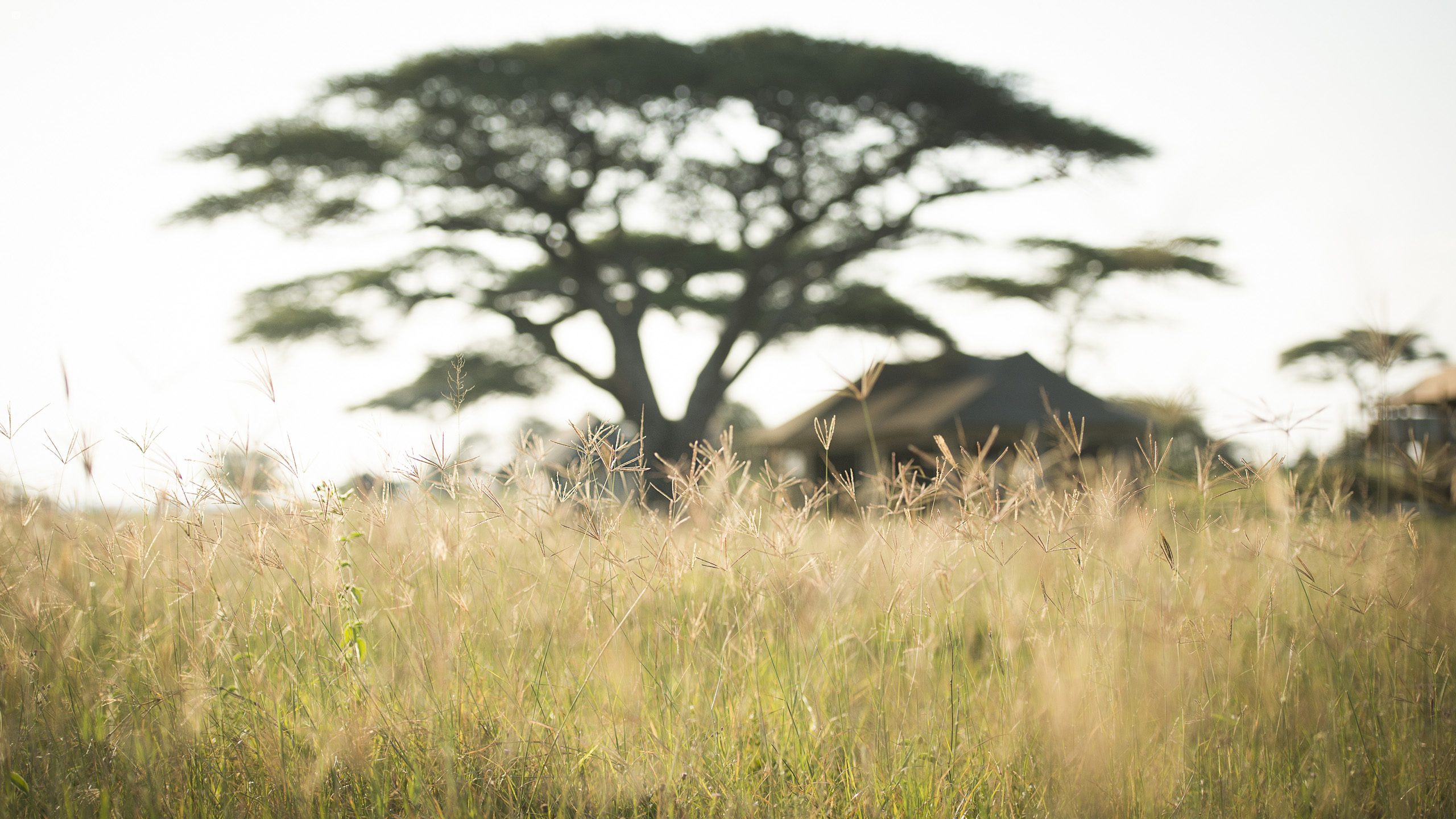 Namiri Plains