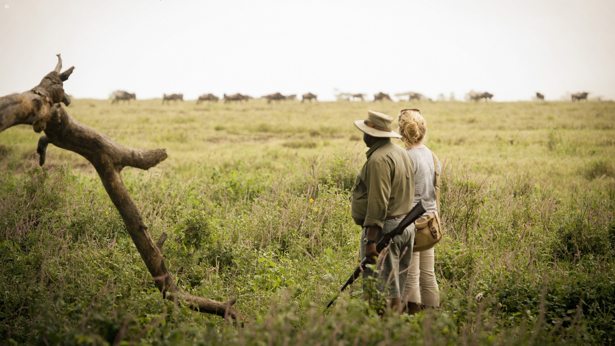 Namiri Plains