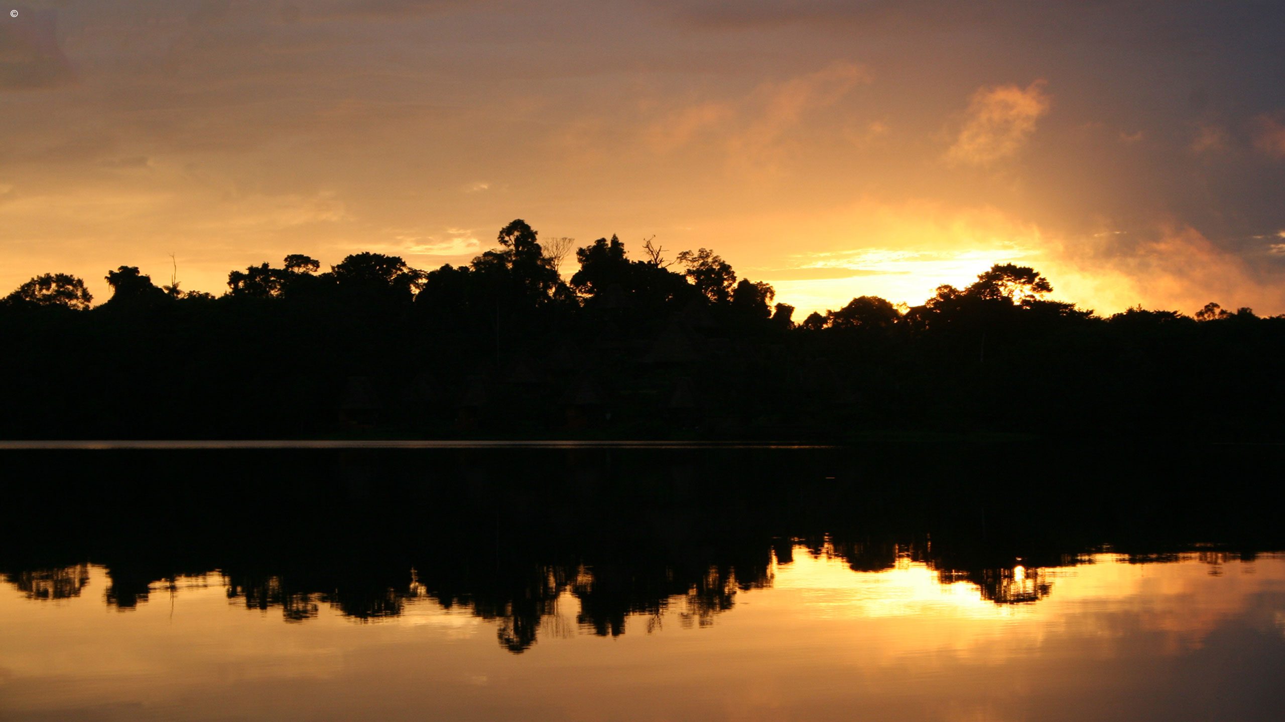 Napo Wildlife Centre