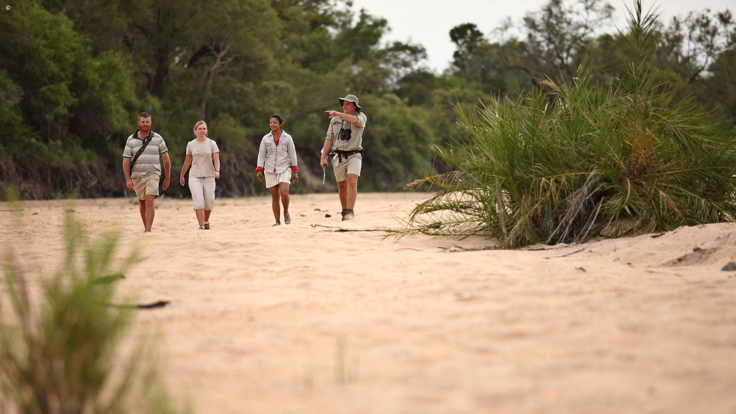 Ngala Tented Camp