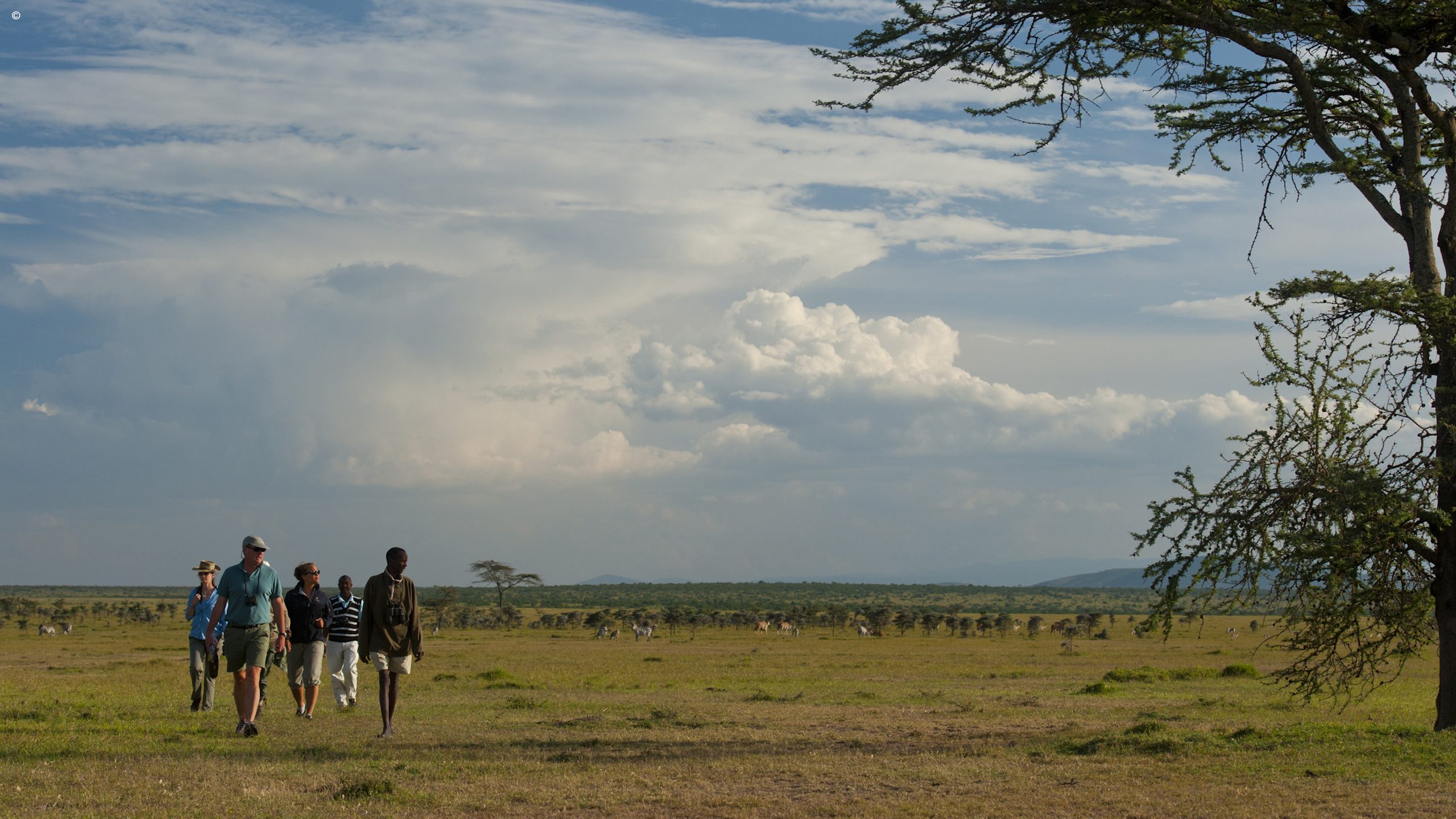 Ol Pejeta Bush Camp