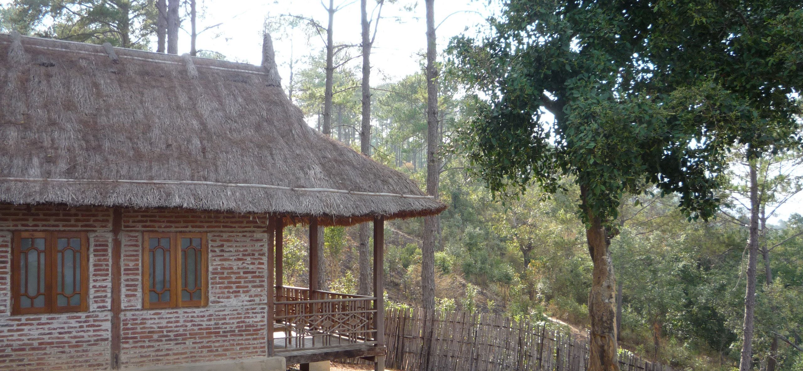 Mountain Oasis Mindat