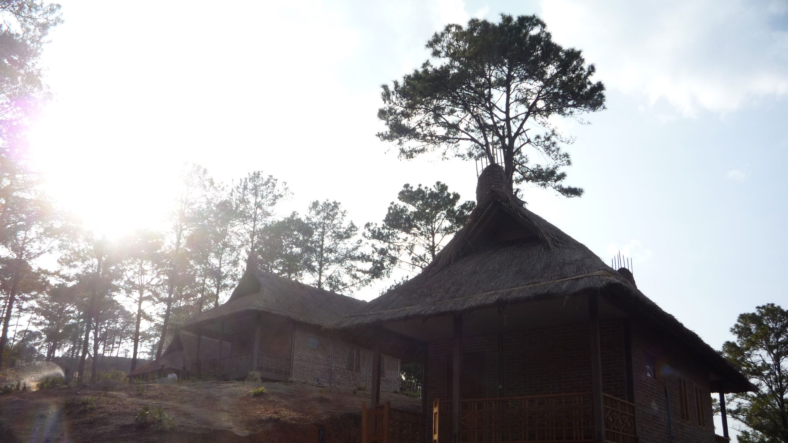 Mountain Oasis Mindat