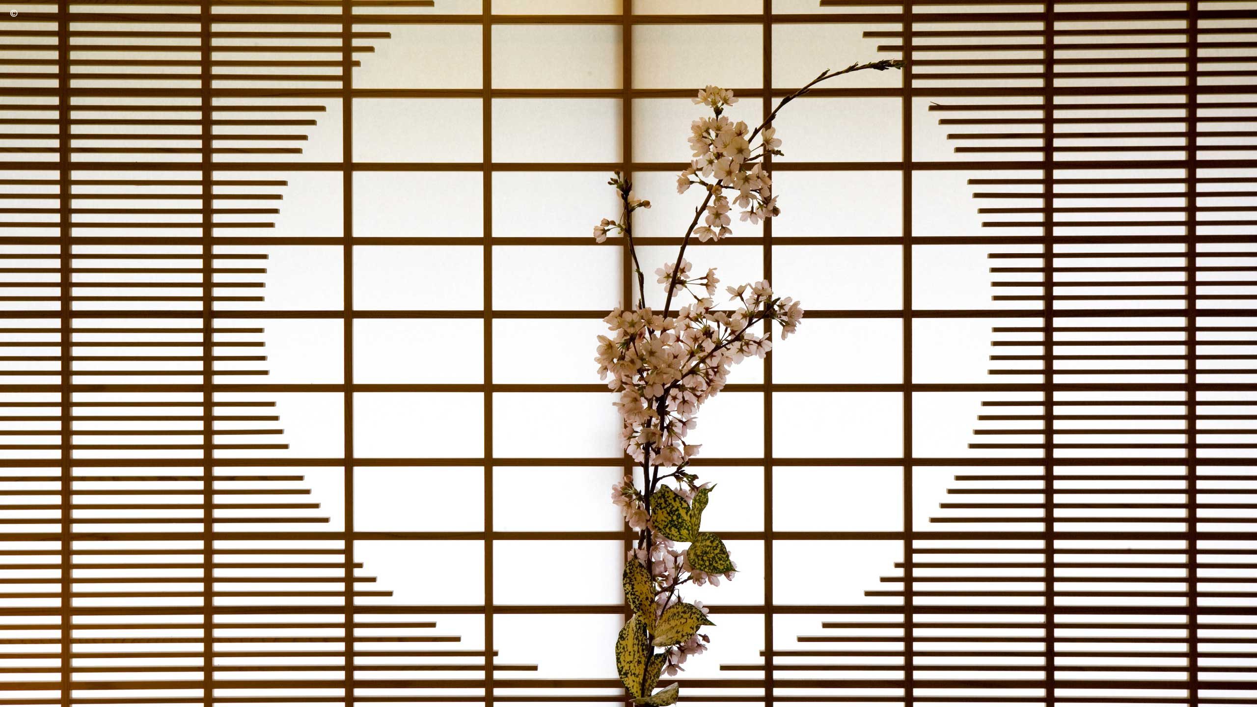 Kayotei Inn Ryokan