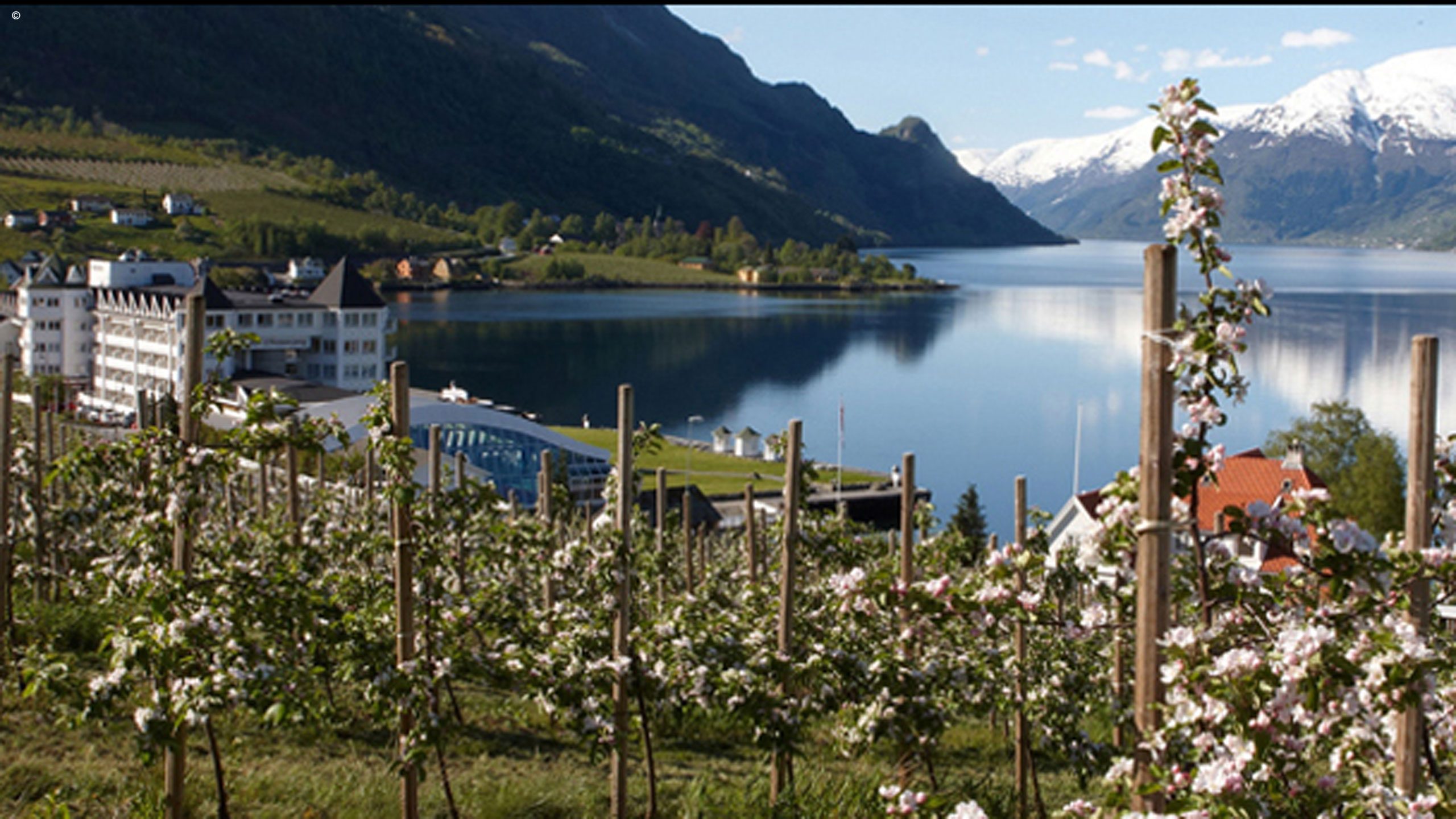 Hotel Ullensvang