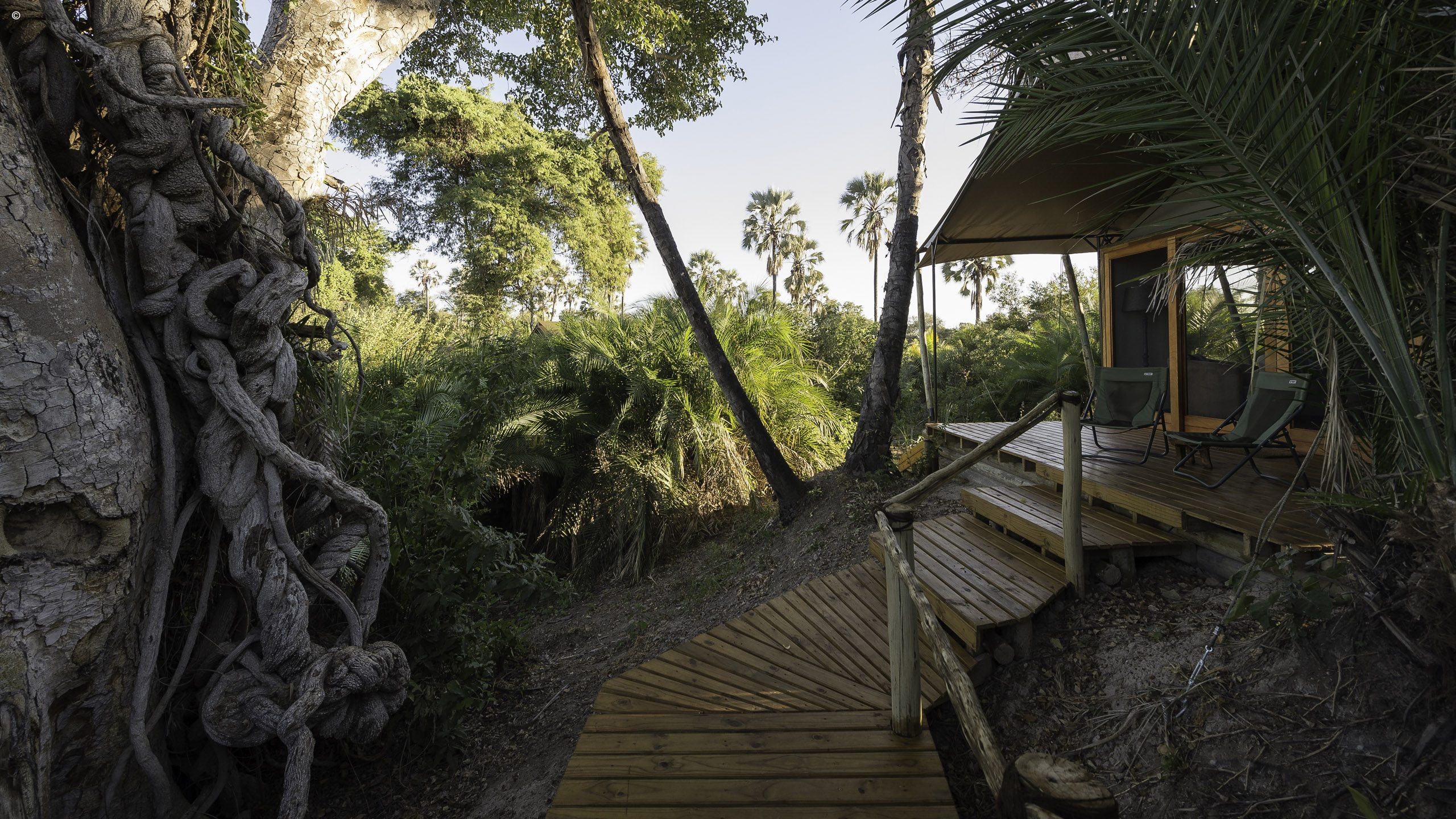 Wilderness Pelo Camp