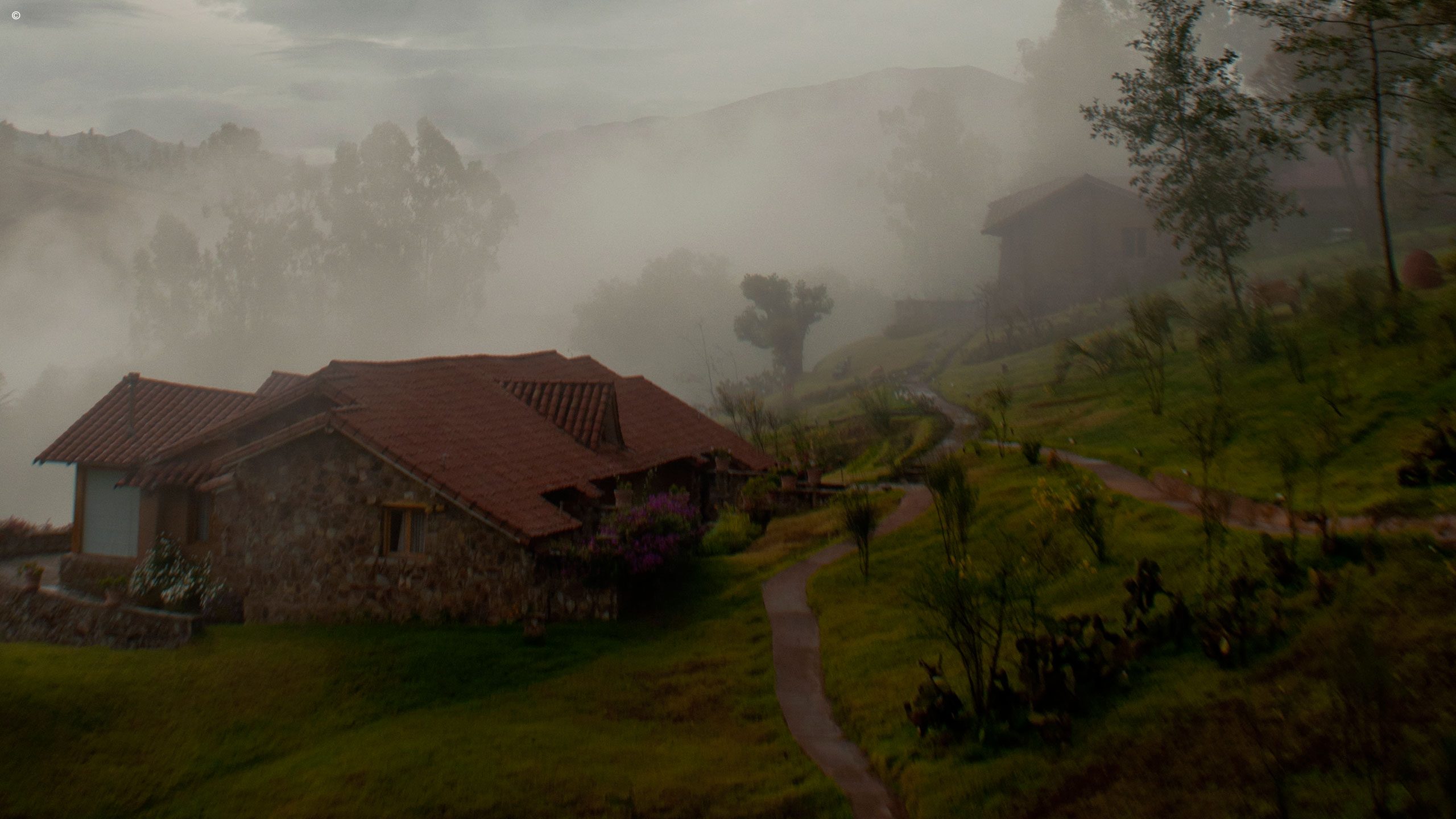 Casa Puyuncuy