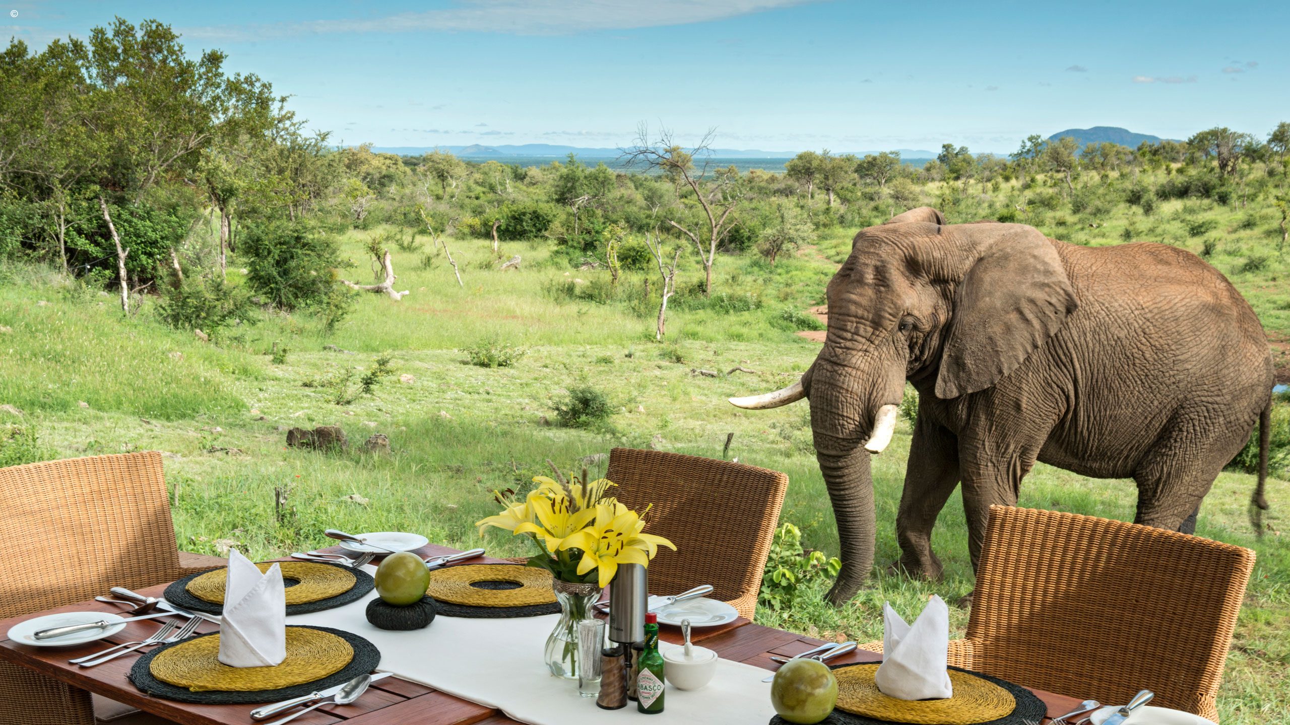 Royal Madikwe