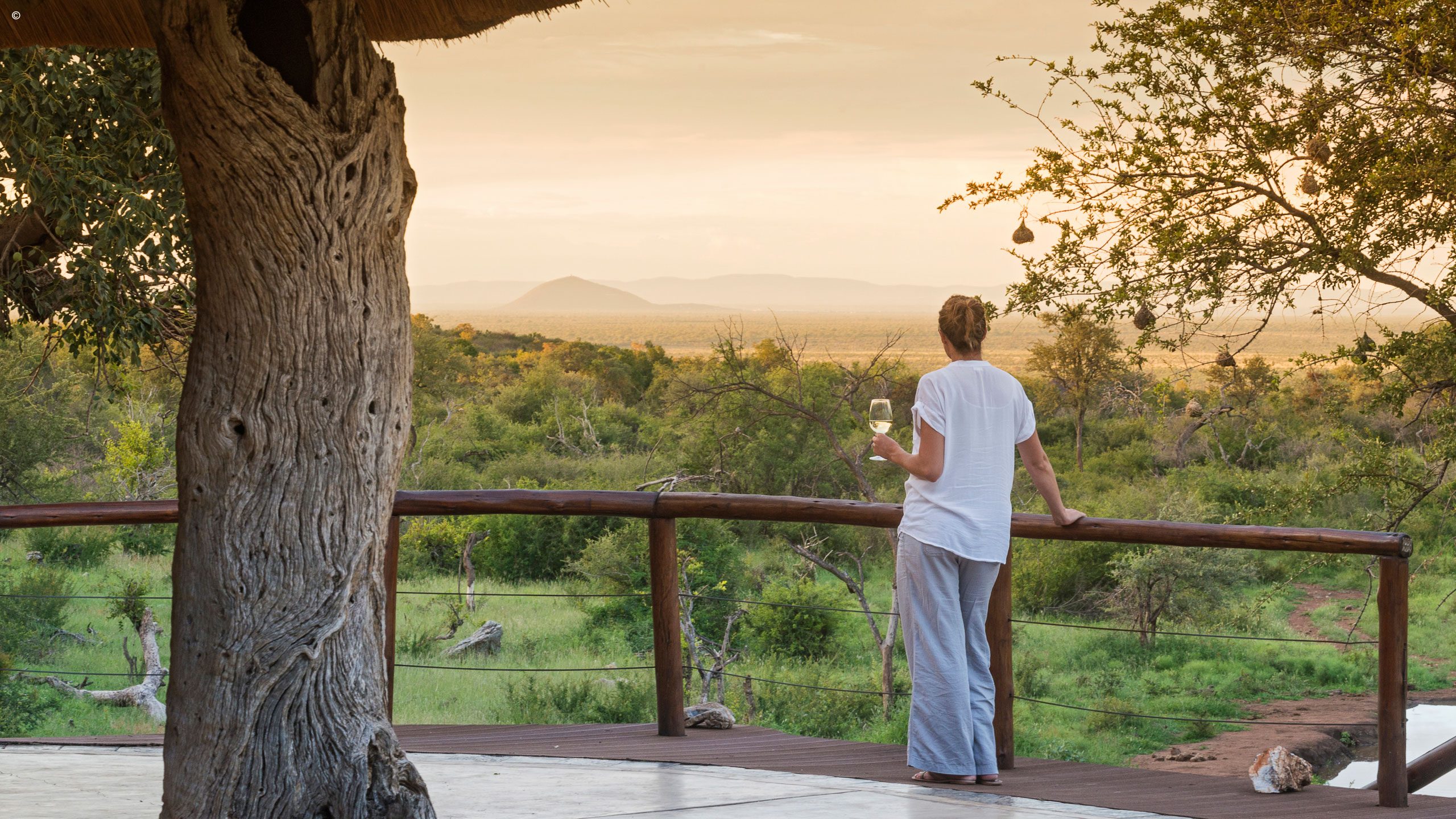 Royal Madikwe