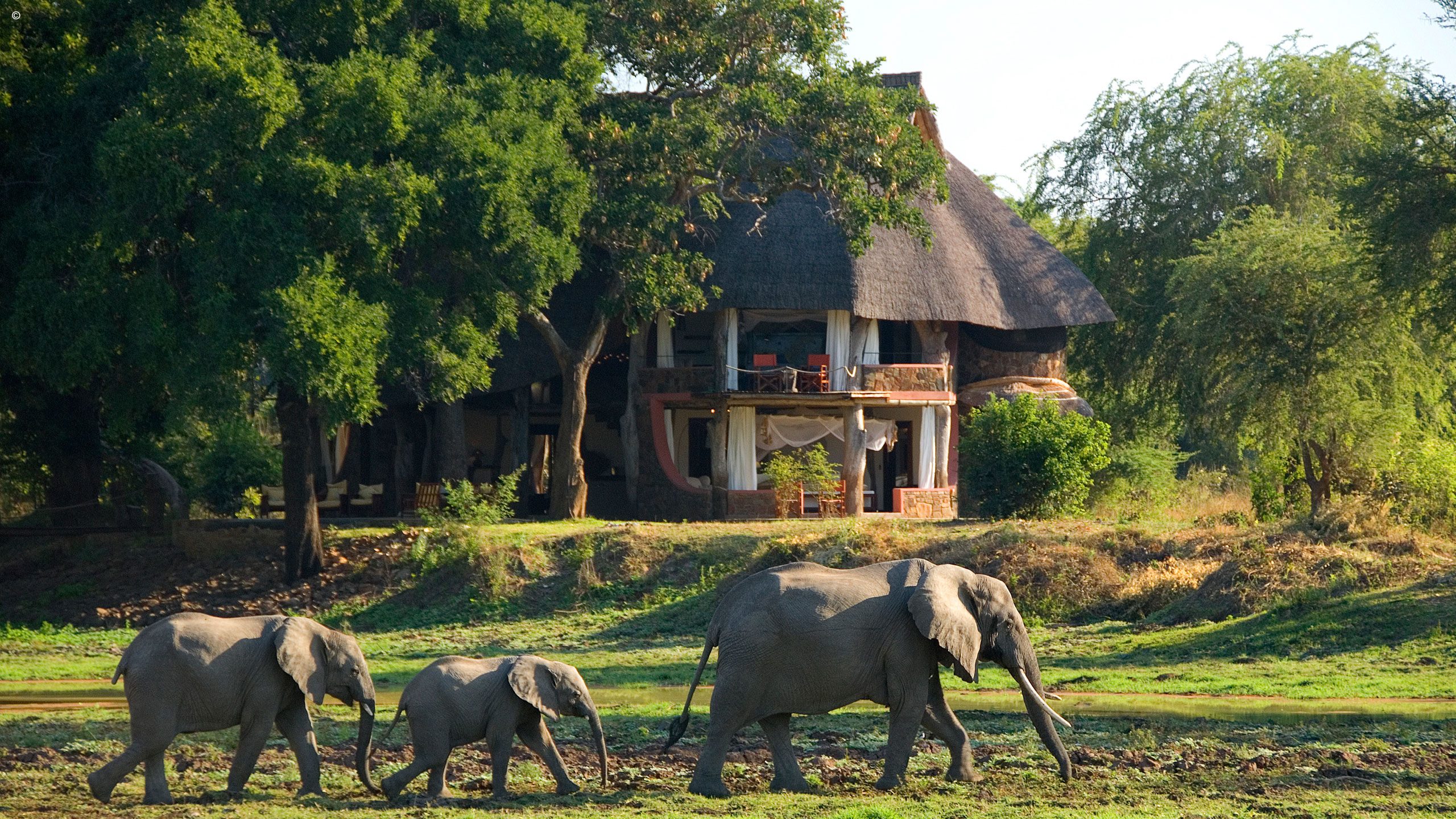 Luangwa Safari House